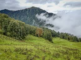 Early morning mist on Dayara Bugyal Trek