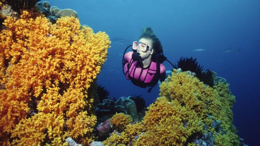 Scuba diver exploring coral reefs at Grand Island Goa