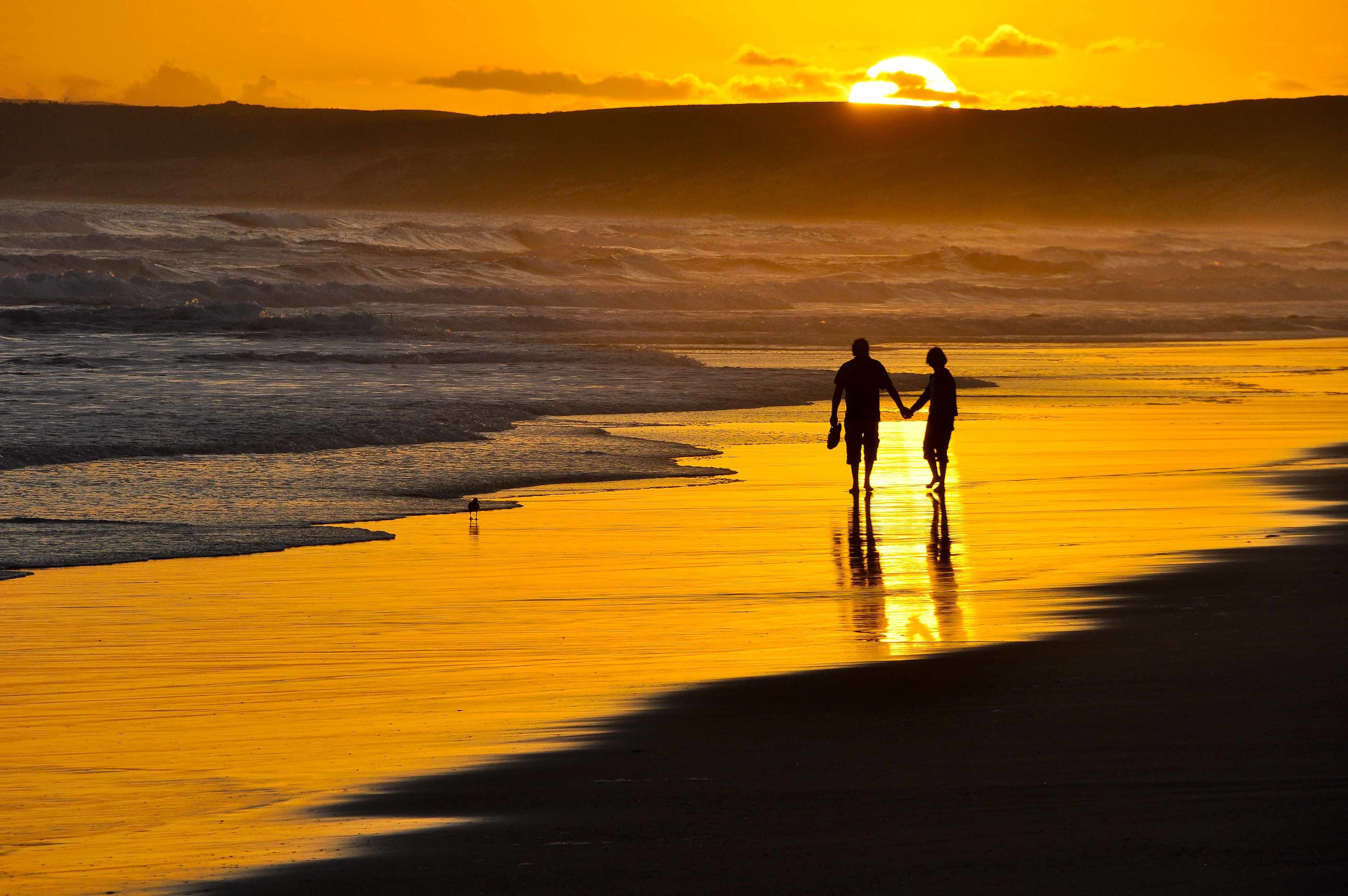 Couple in goa by the beach