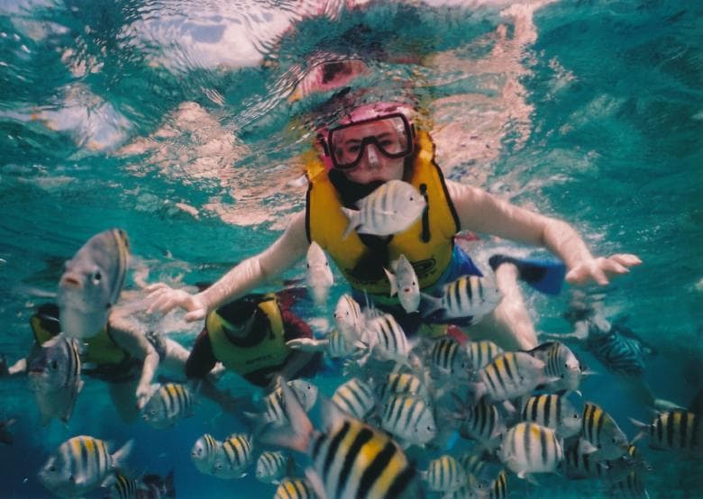 A snorkeler admiring the marine beauty of Grande Island’s waters