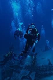 A scuba diver surrounded by colorful marine life in Malvan