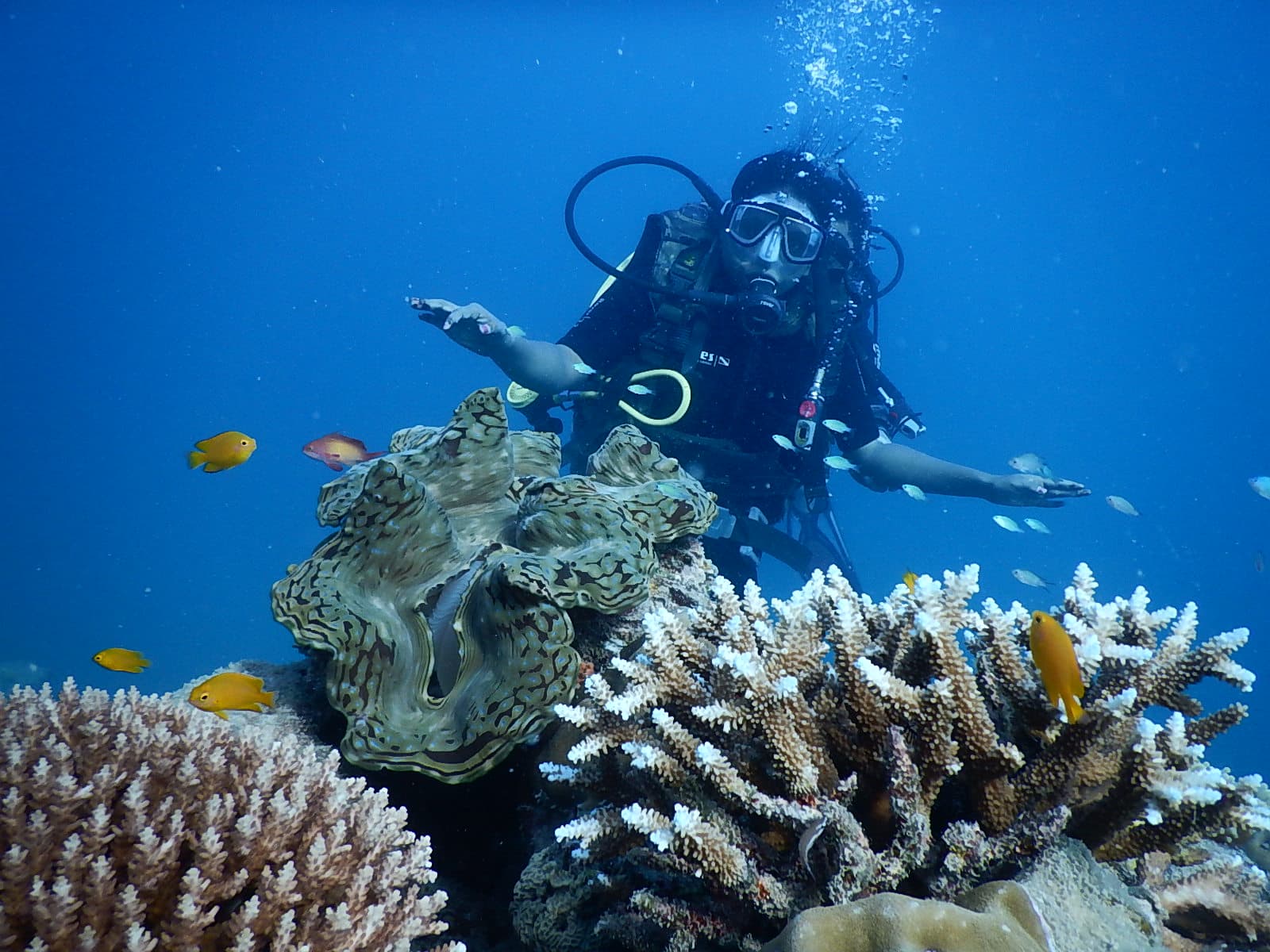 A scuba diver swimming alongside a school of fish in Malvan