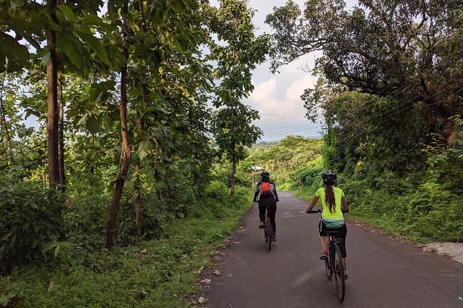 Tourists exploring the greenery of Chorao Island on bicycles