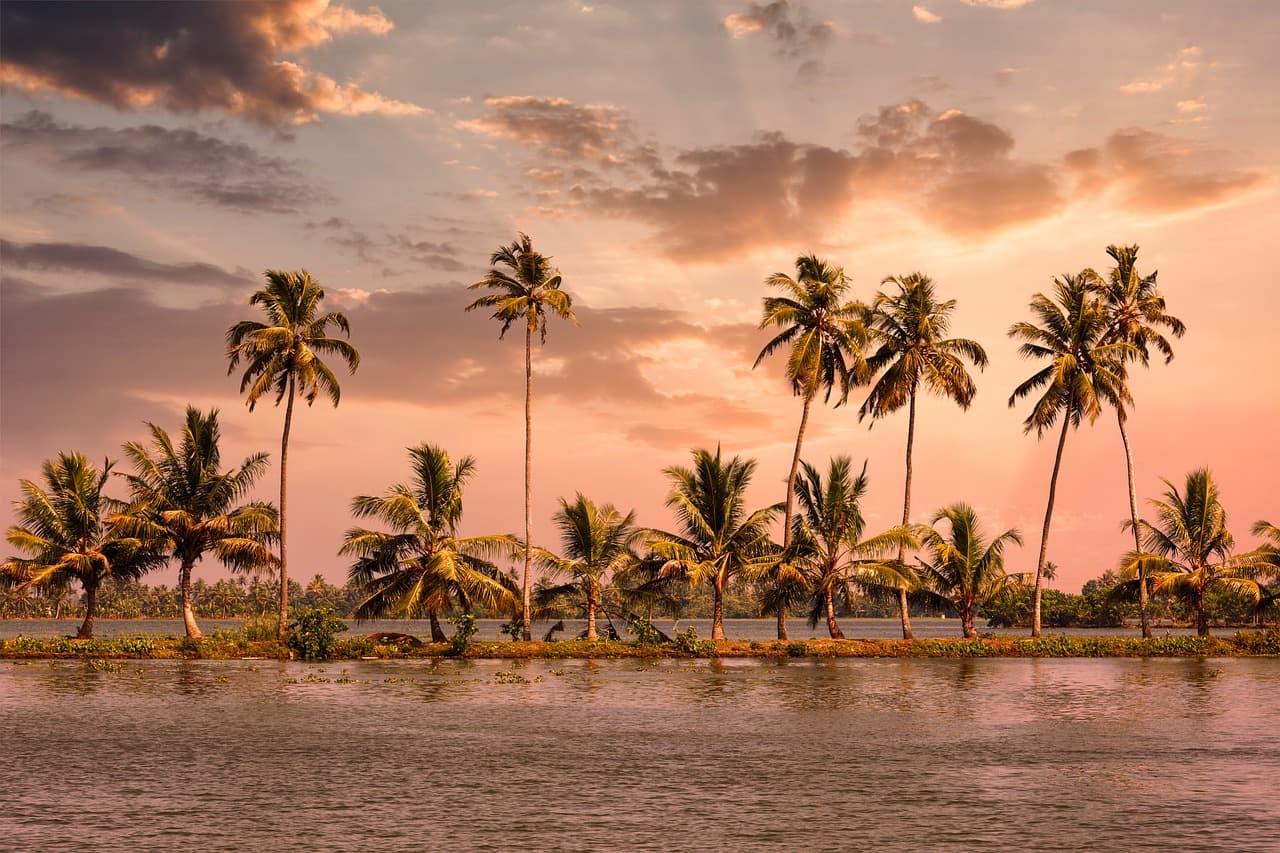 Lake view in Alleppey