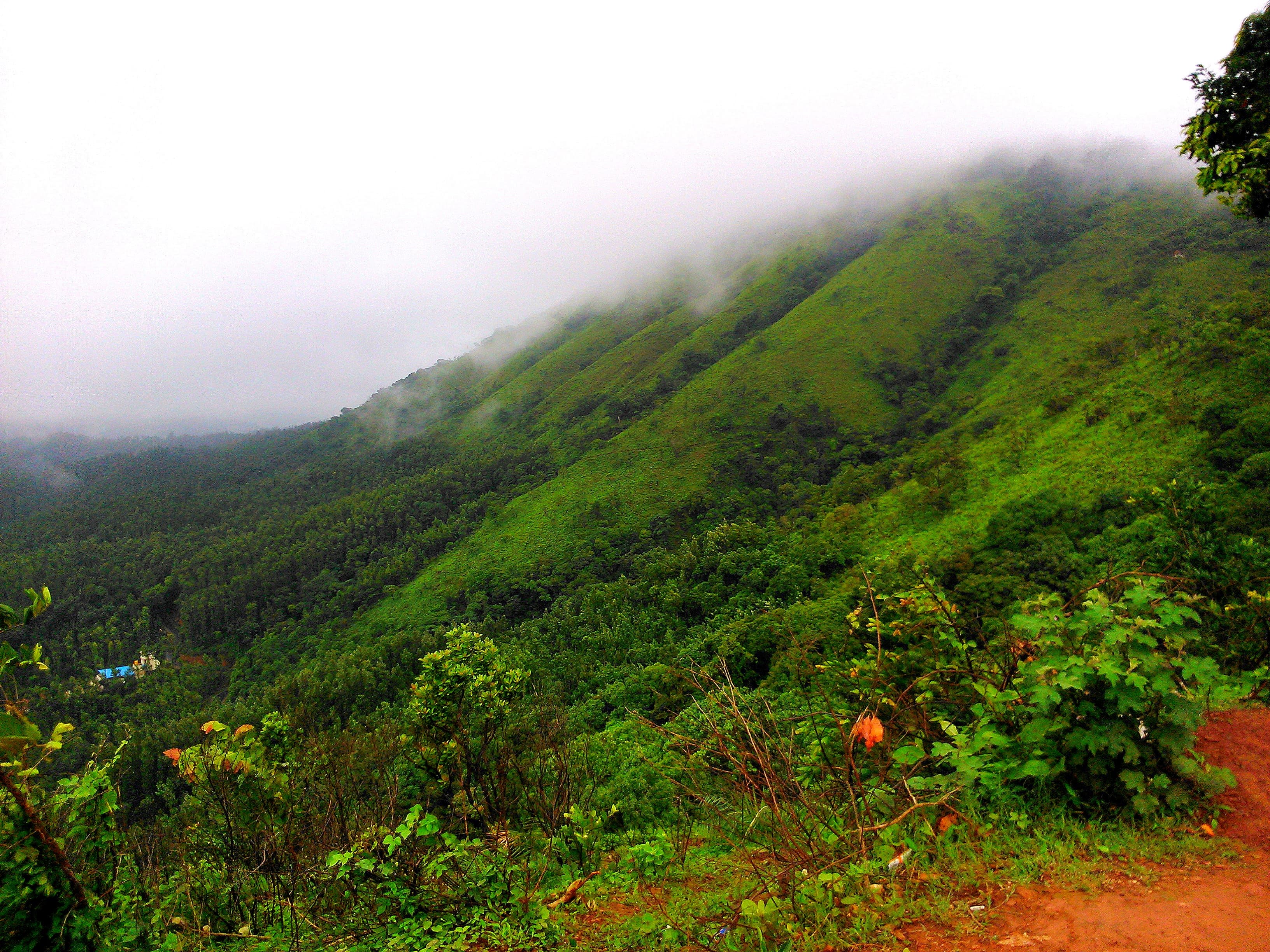 Mallayanagiri Hills in Chikmagalur