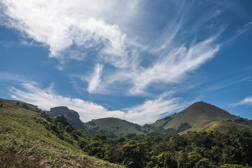 Mandalapatti Peak in Coorg