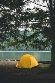 Nature lovers enjoying lakeside camping