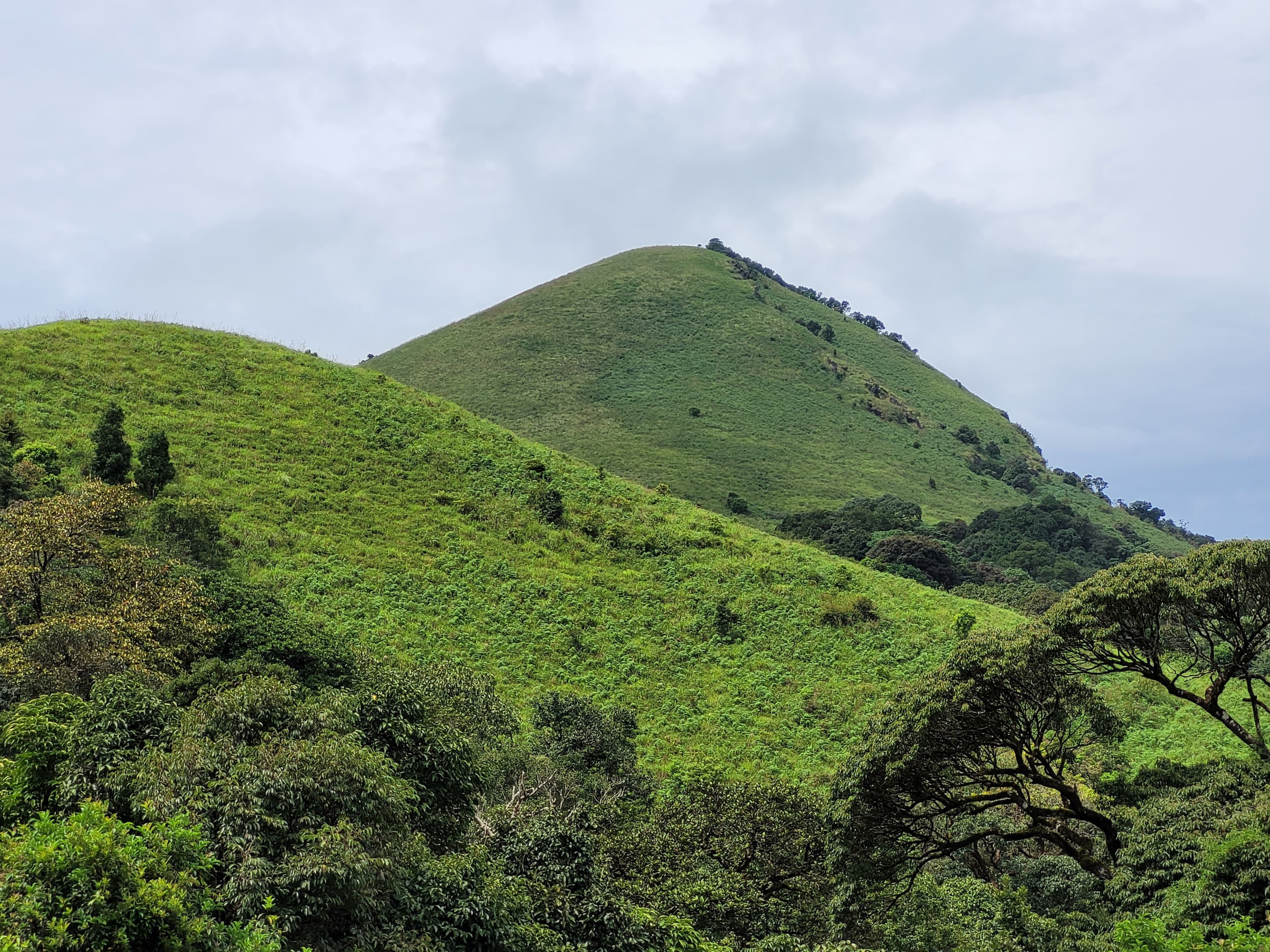 Views of valleys and peaks along the Brahamagiri Trek