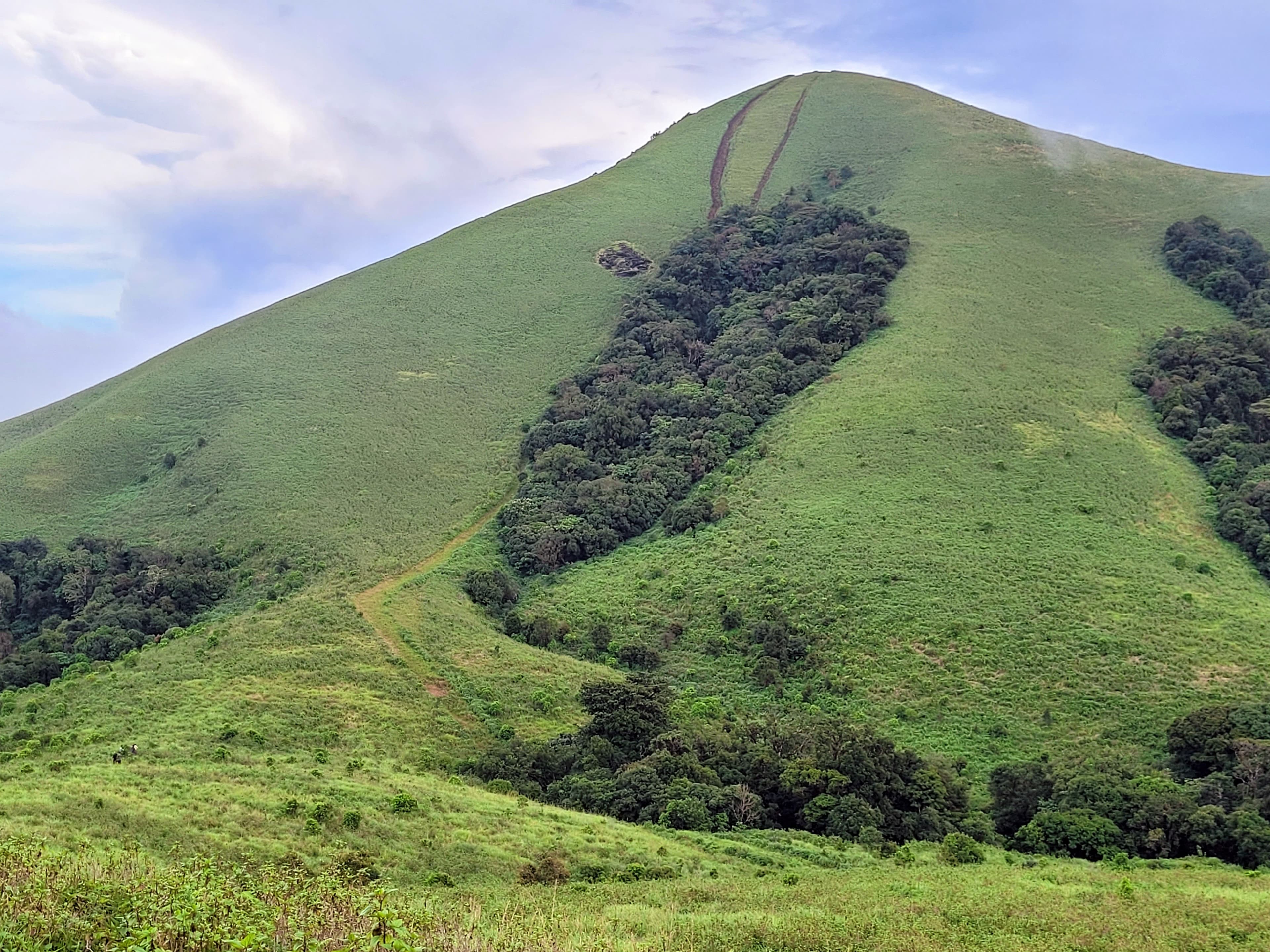 Rich green trekking trails at Brahamagiri