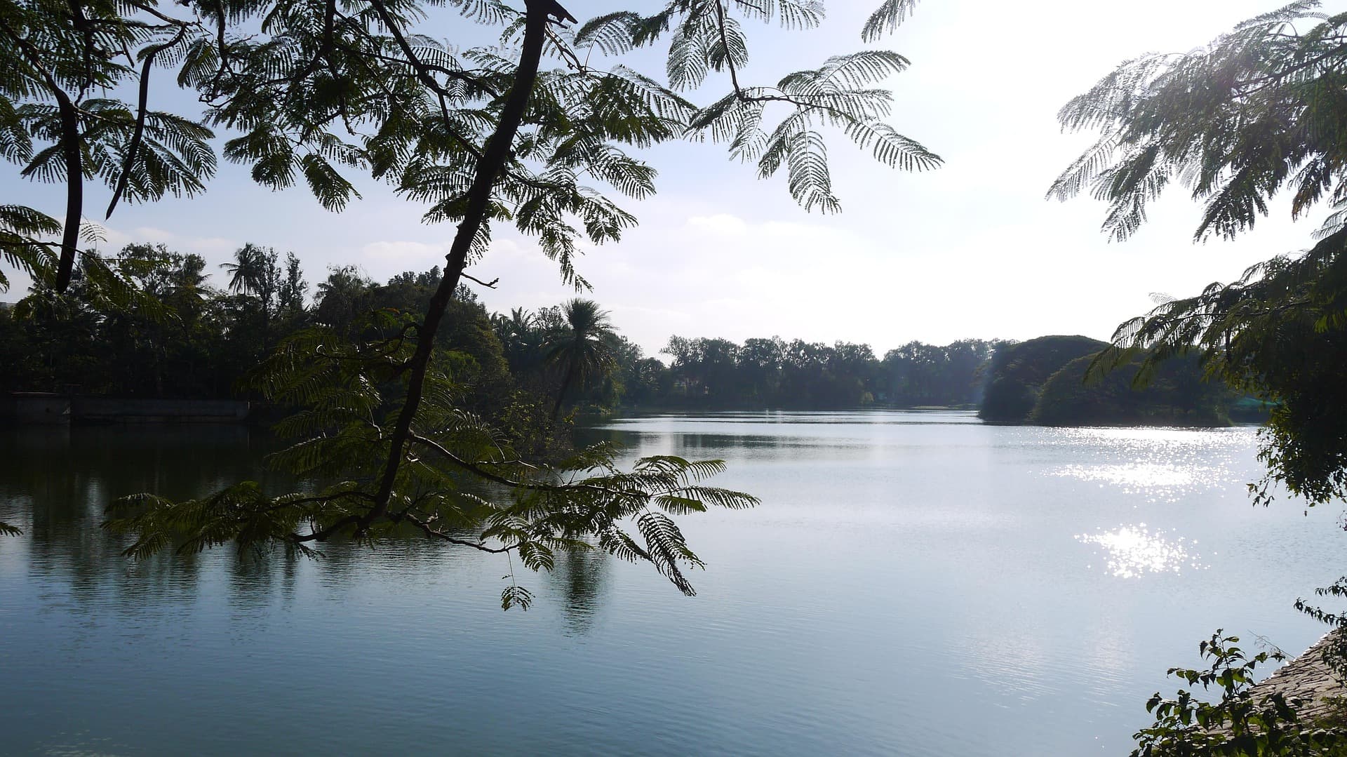 Agara Lake Bangalore