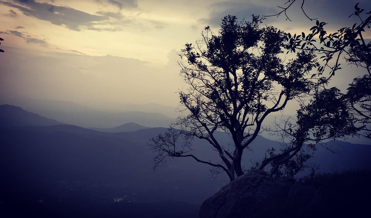 Yercaud – The Quiet Hill Station of Tamil Nadu