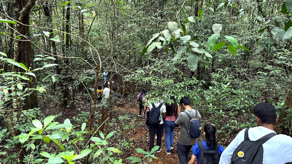 Kurinjal Trek forest trail