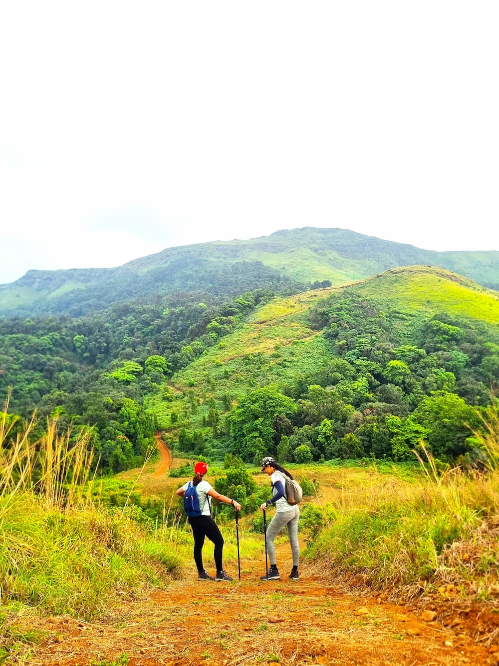 Gangadikal Trek-Lush green view