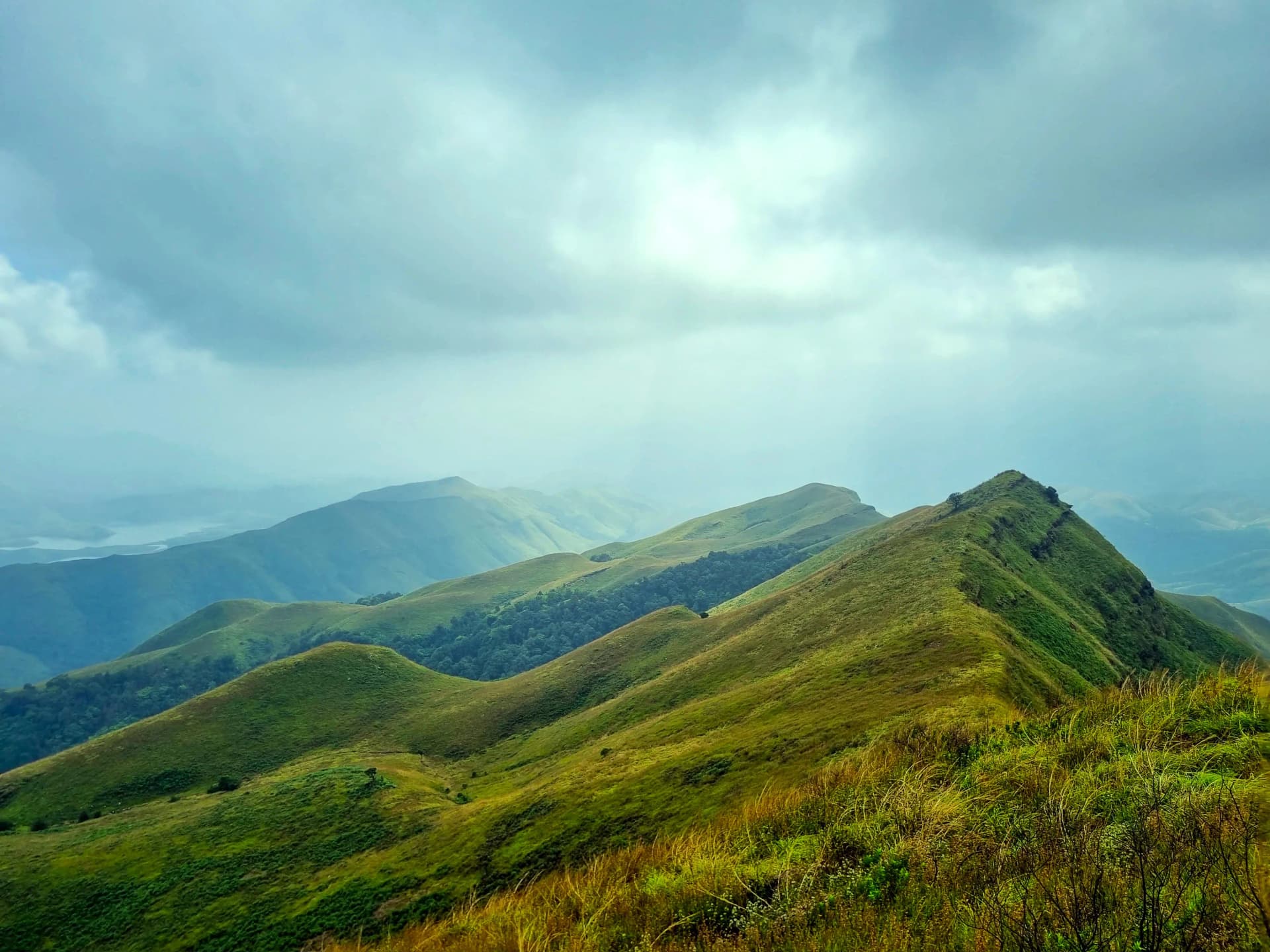 Gangadikal Trek-Greenery