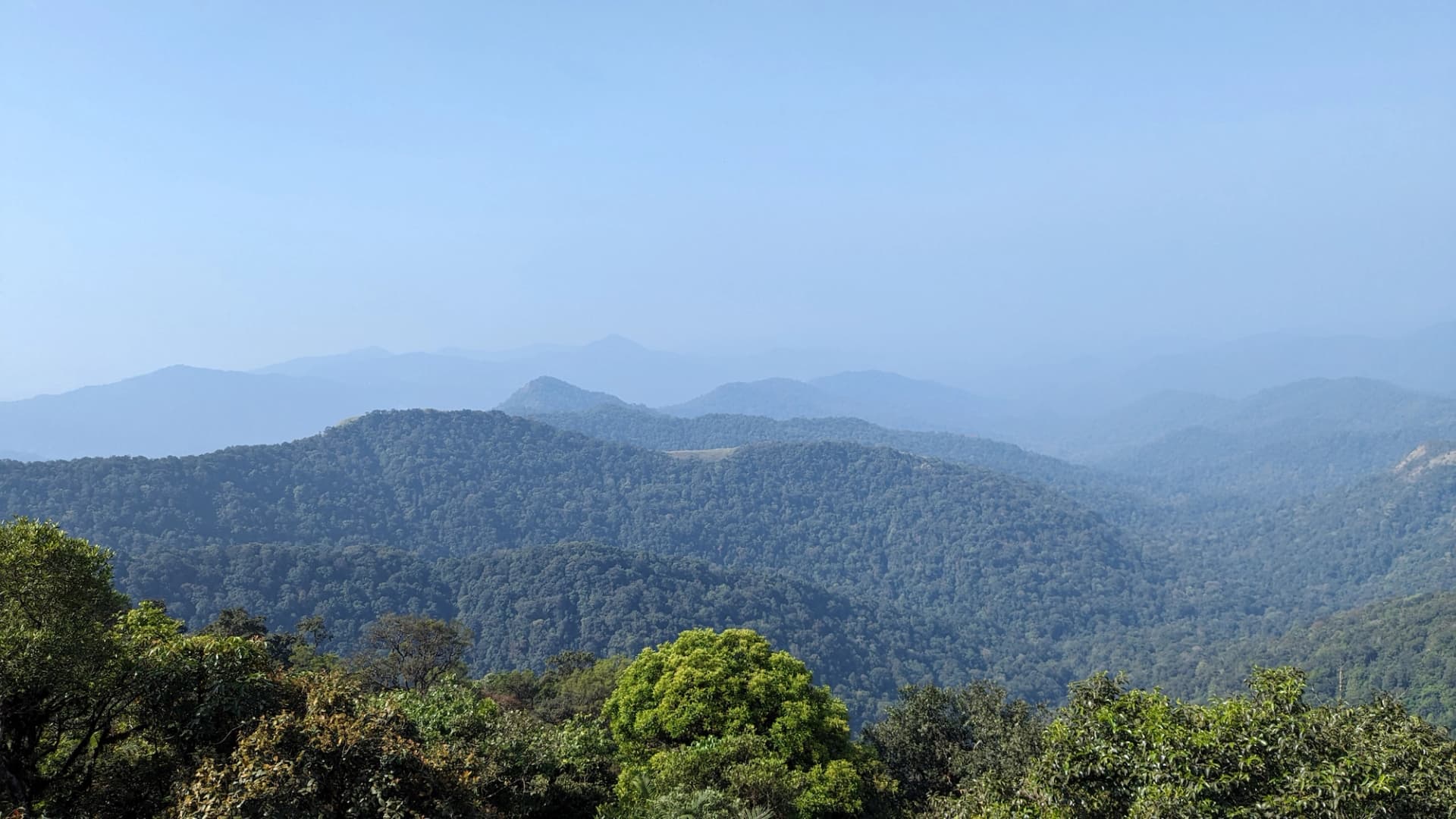 Nishani Motte Trek-Lush Green Trees