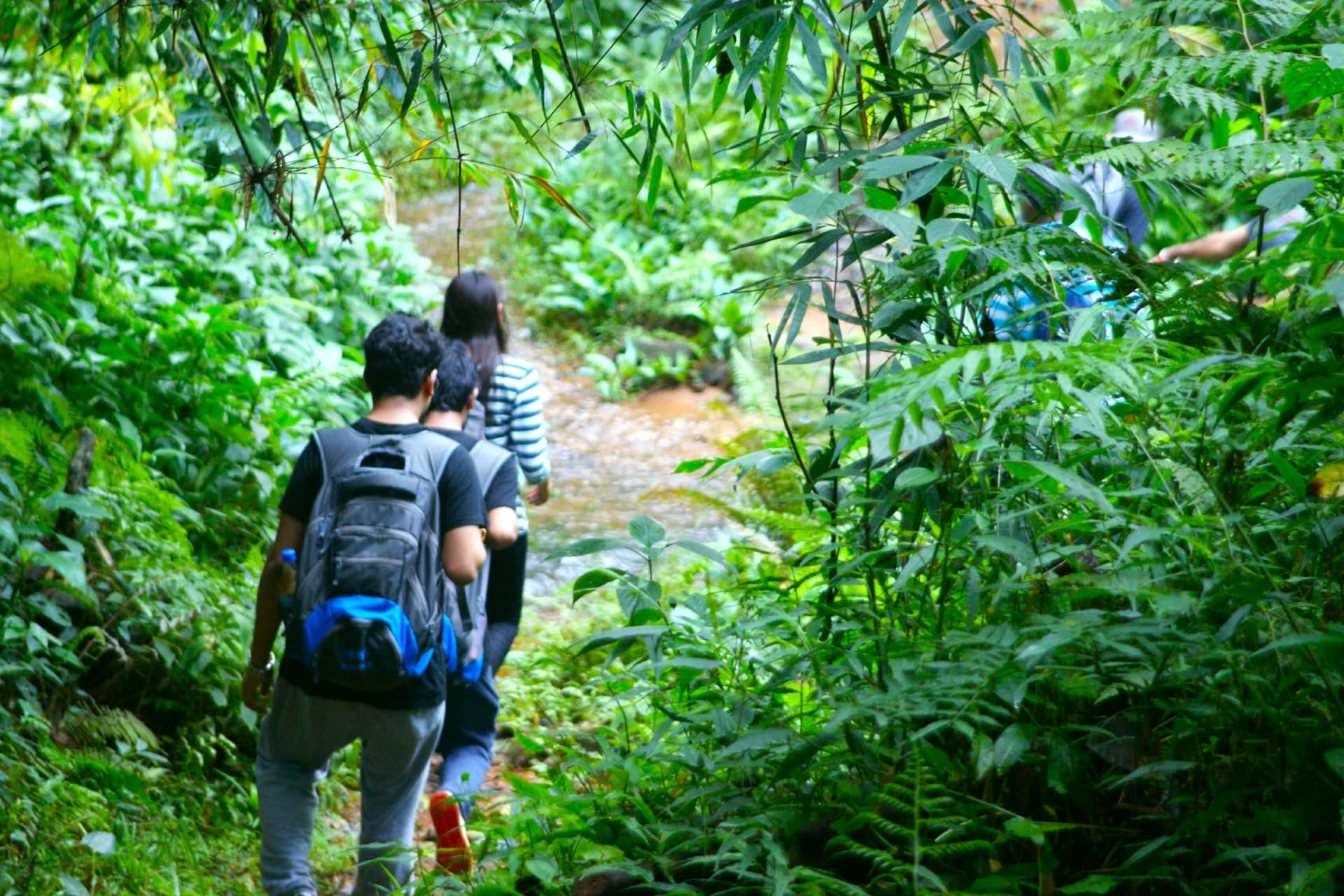 Galibeedu Hills Exploration-The trail
