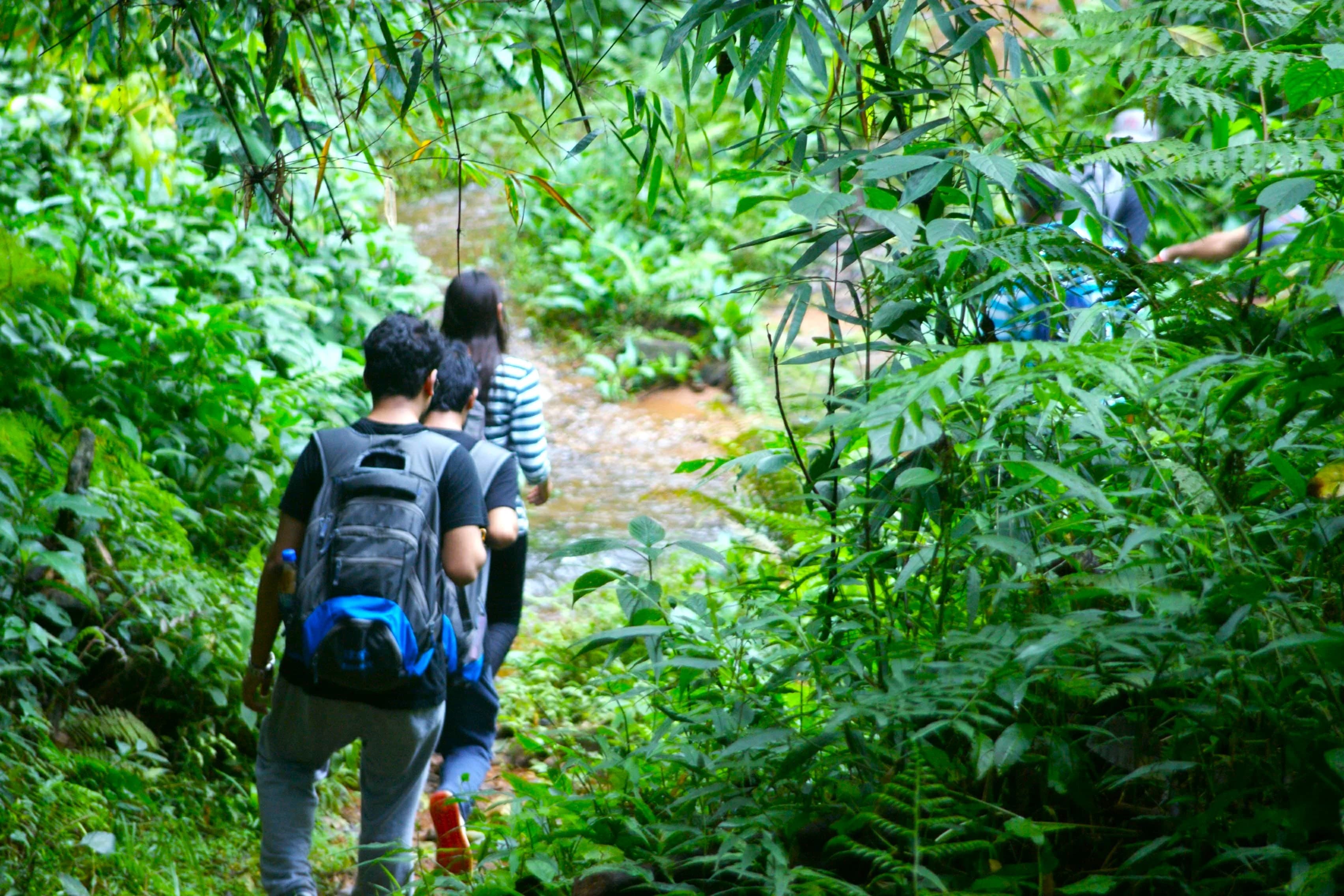 Galibeedu Hills Exploration-The trail