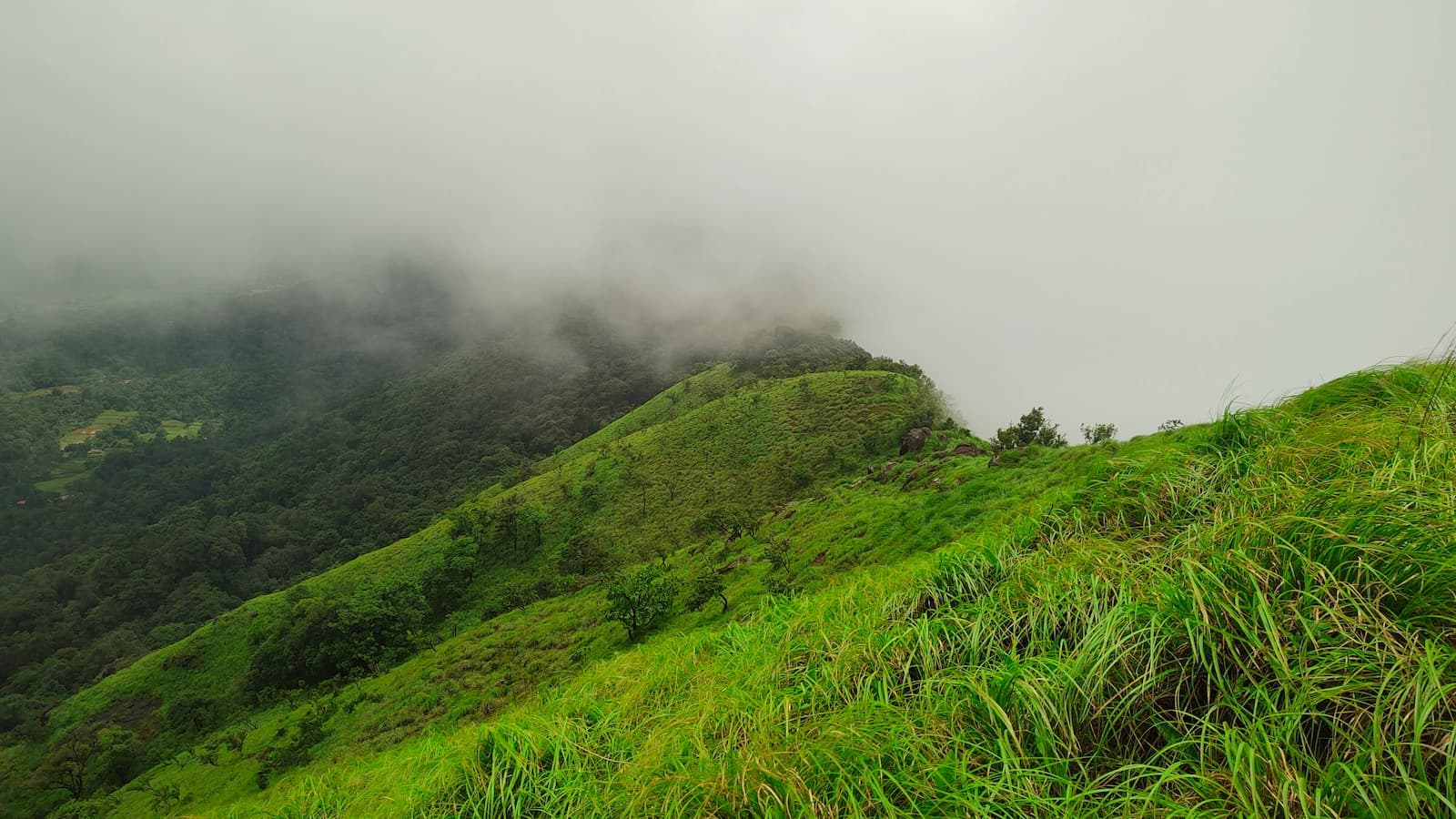 Thavoor Hills Trek-Trail