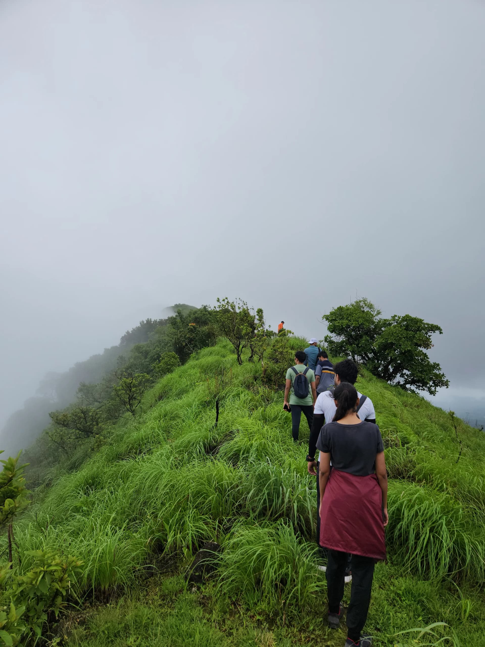 Thavoor Hills Trek-cloudy canopy