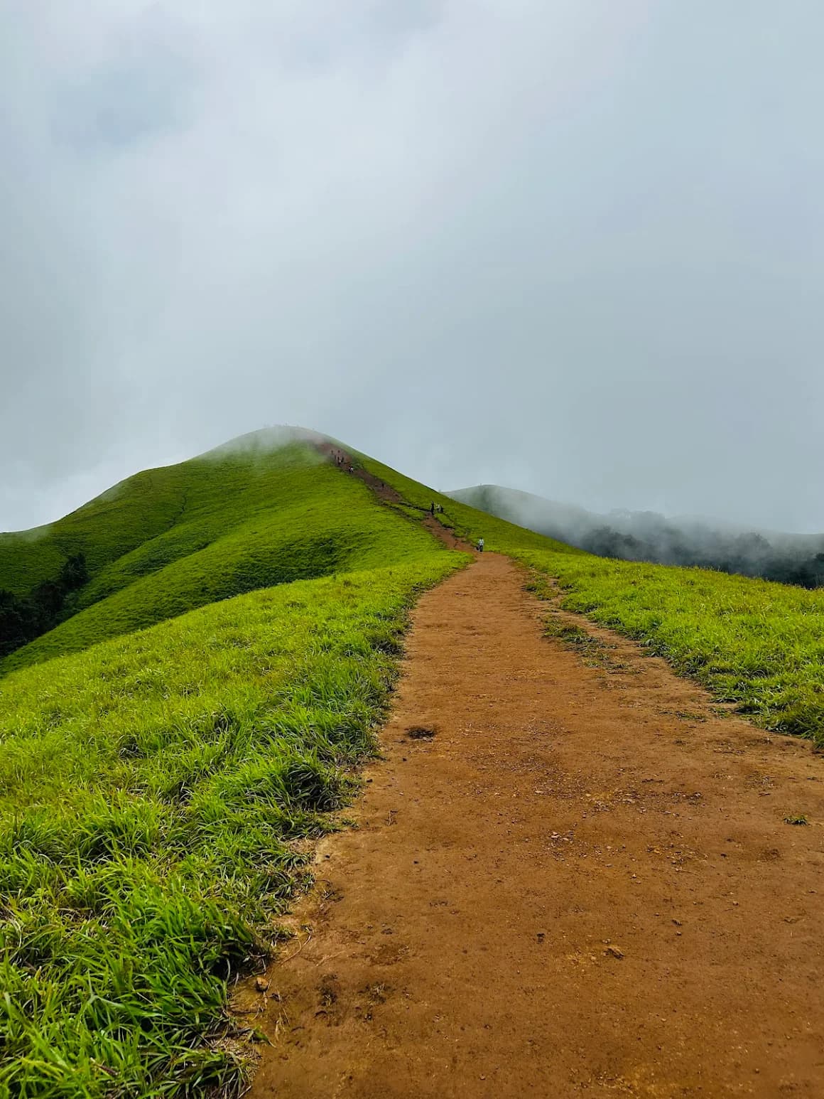 Open grassland ridge trail leading to Netravati Peak summit with misty clouds – Kudremukh Forest Range