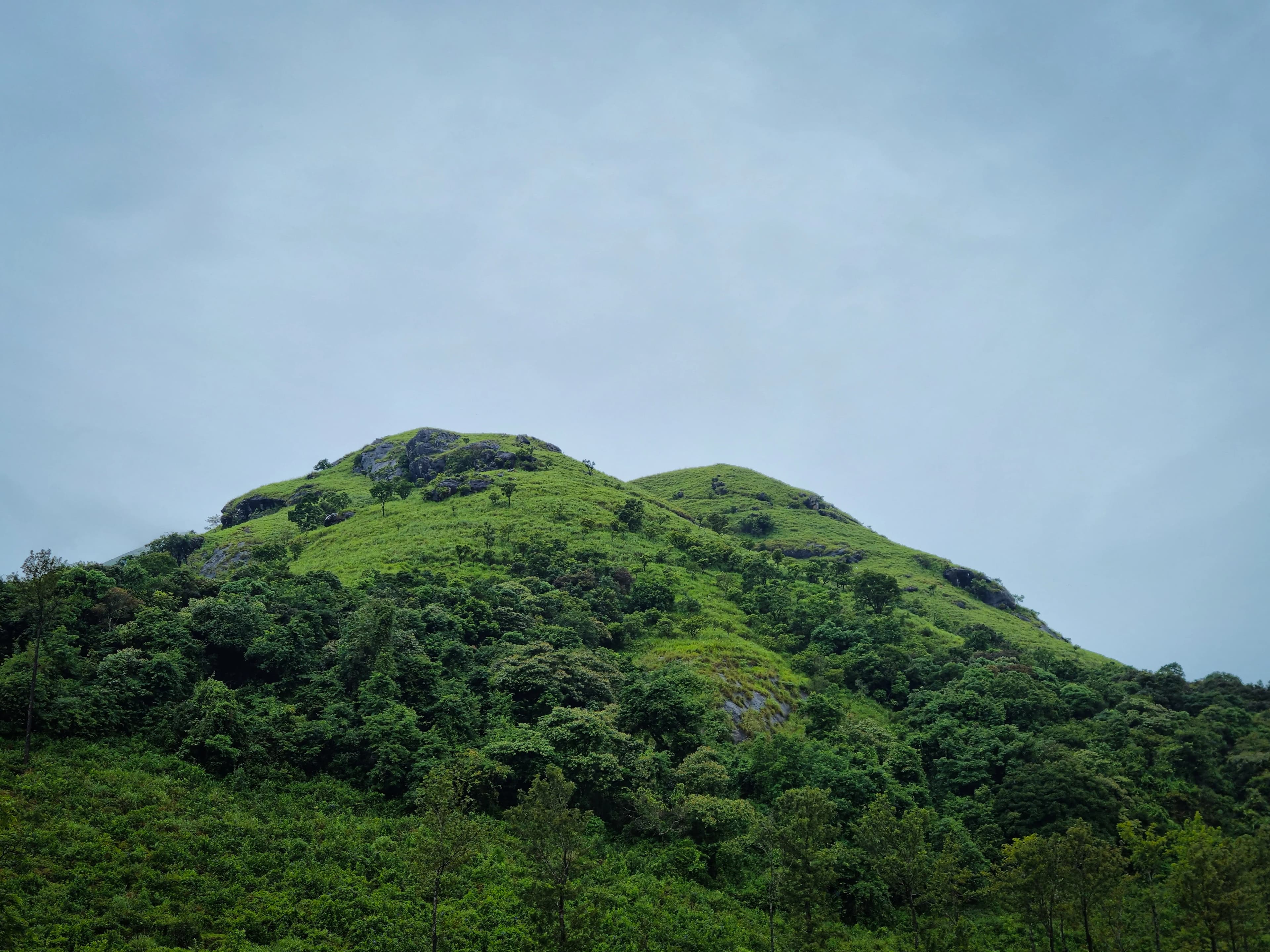 Chembra Peak Trekking Package: Bangalore Departure to Green Hills of Wayanad