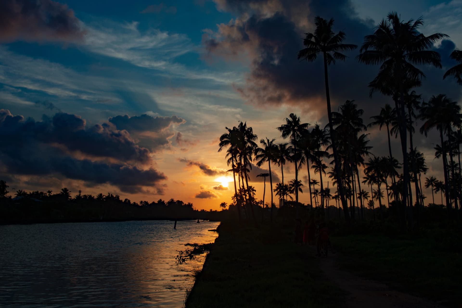 Kerala Tour: Unveil the Beauty of 'Own Country' in a 4-Day Getaway Amidst Lush Greenery