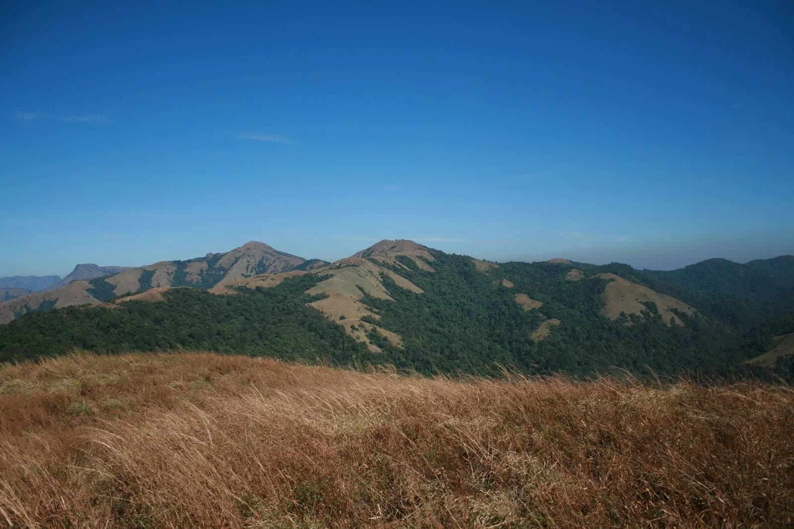 Ombattu Gudda Trek from Bengaluru