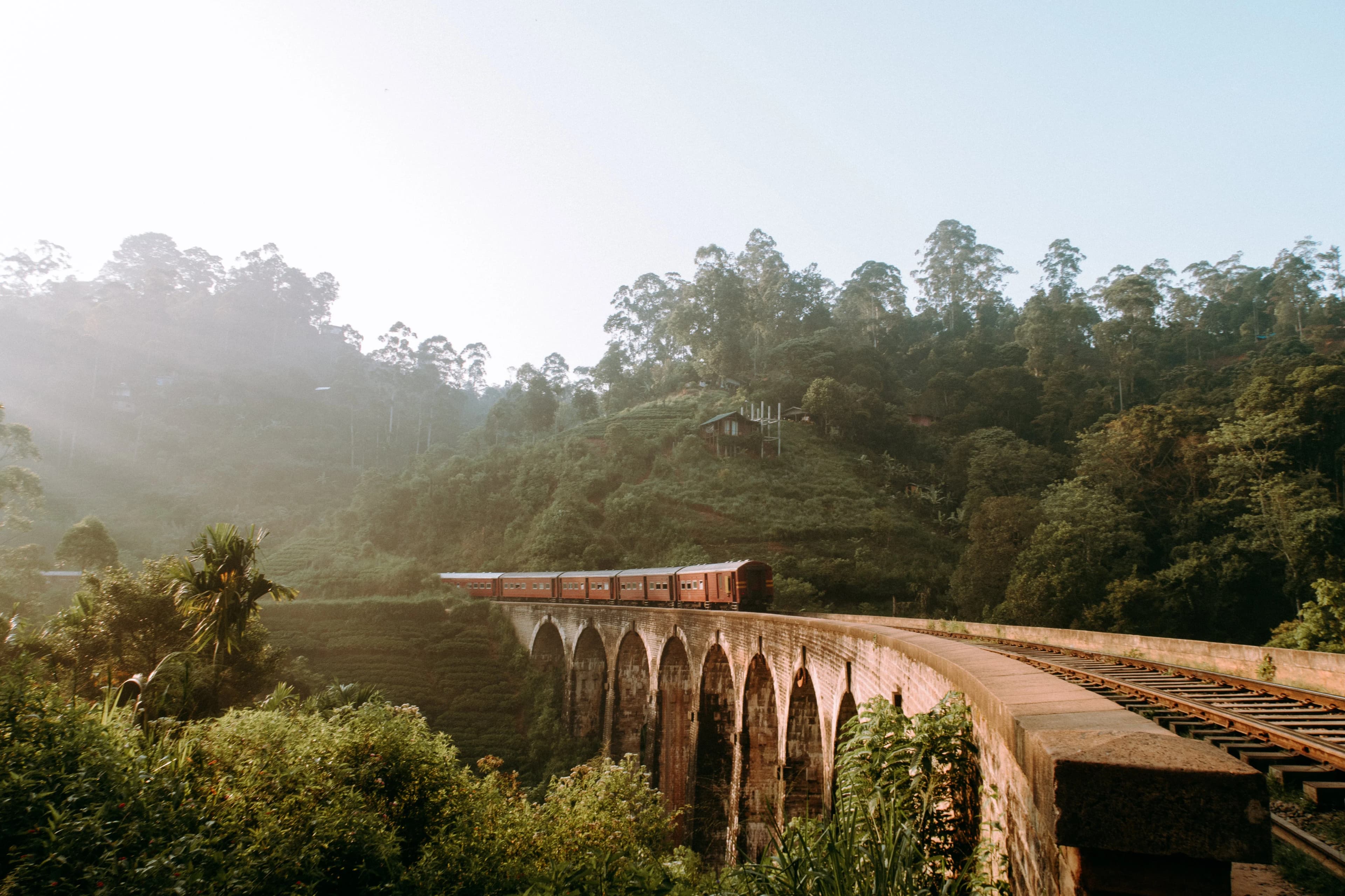 Sri Lanka Explorer: Captivating Moments on an Enchanting Tour