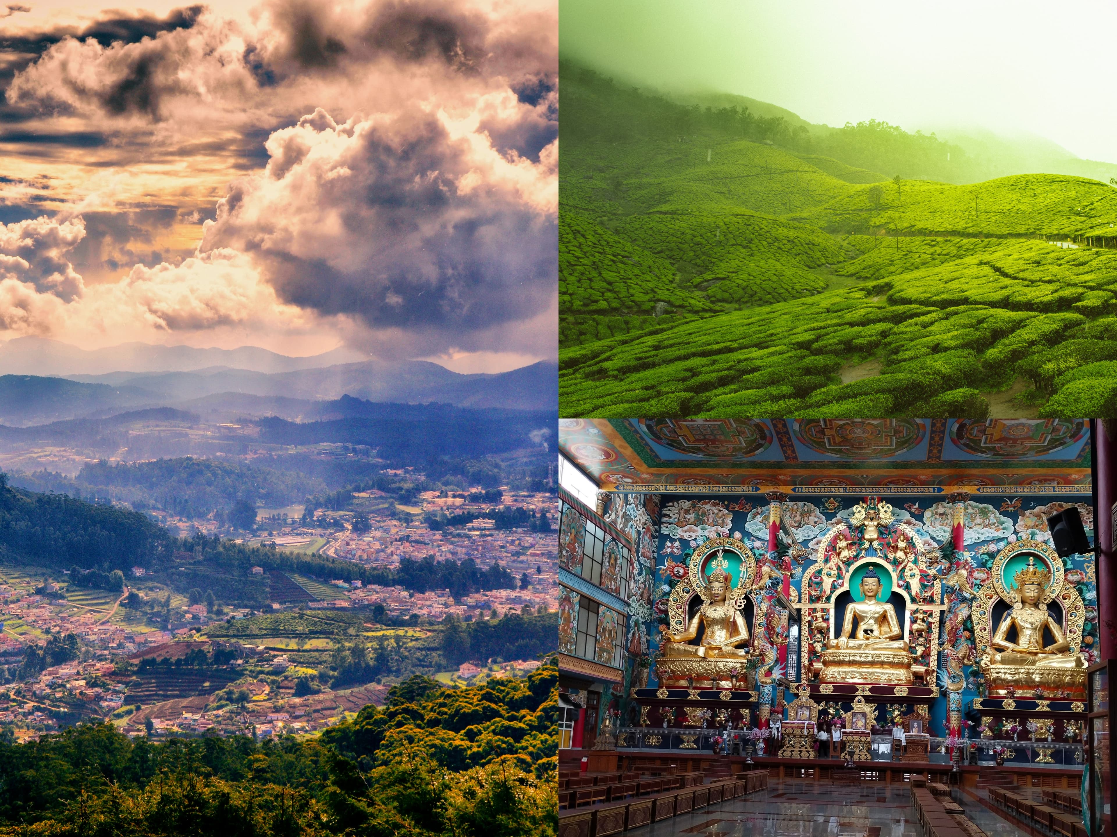 Collage of images from Coorg, Ooty, and Wayanad