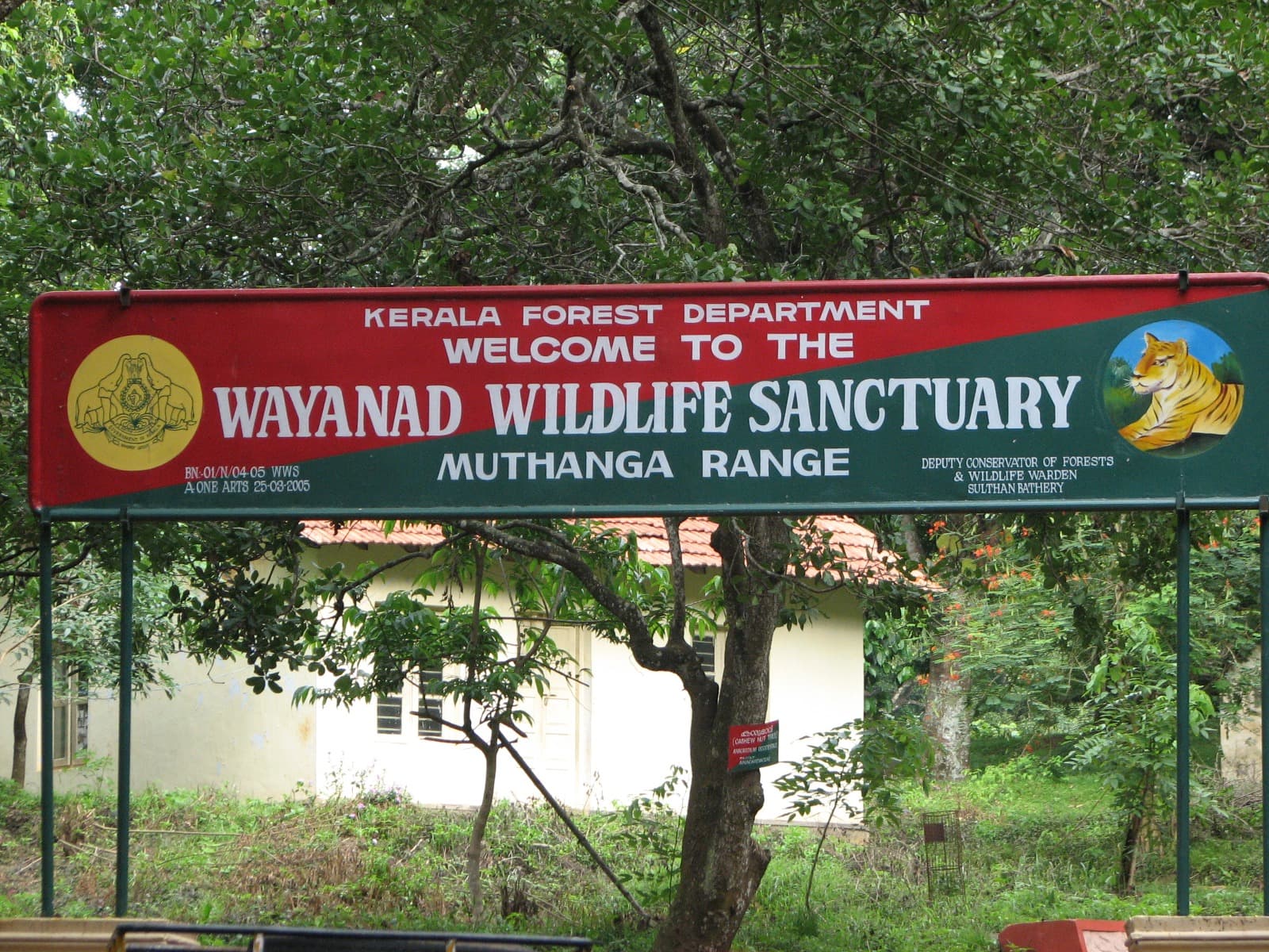 An elephant grazing in the greenery of Wayanad Wildlife Sanctuary