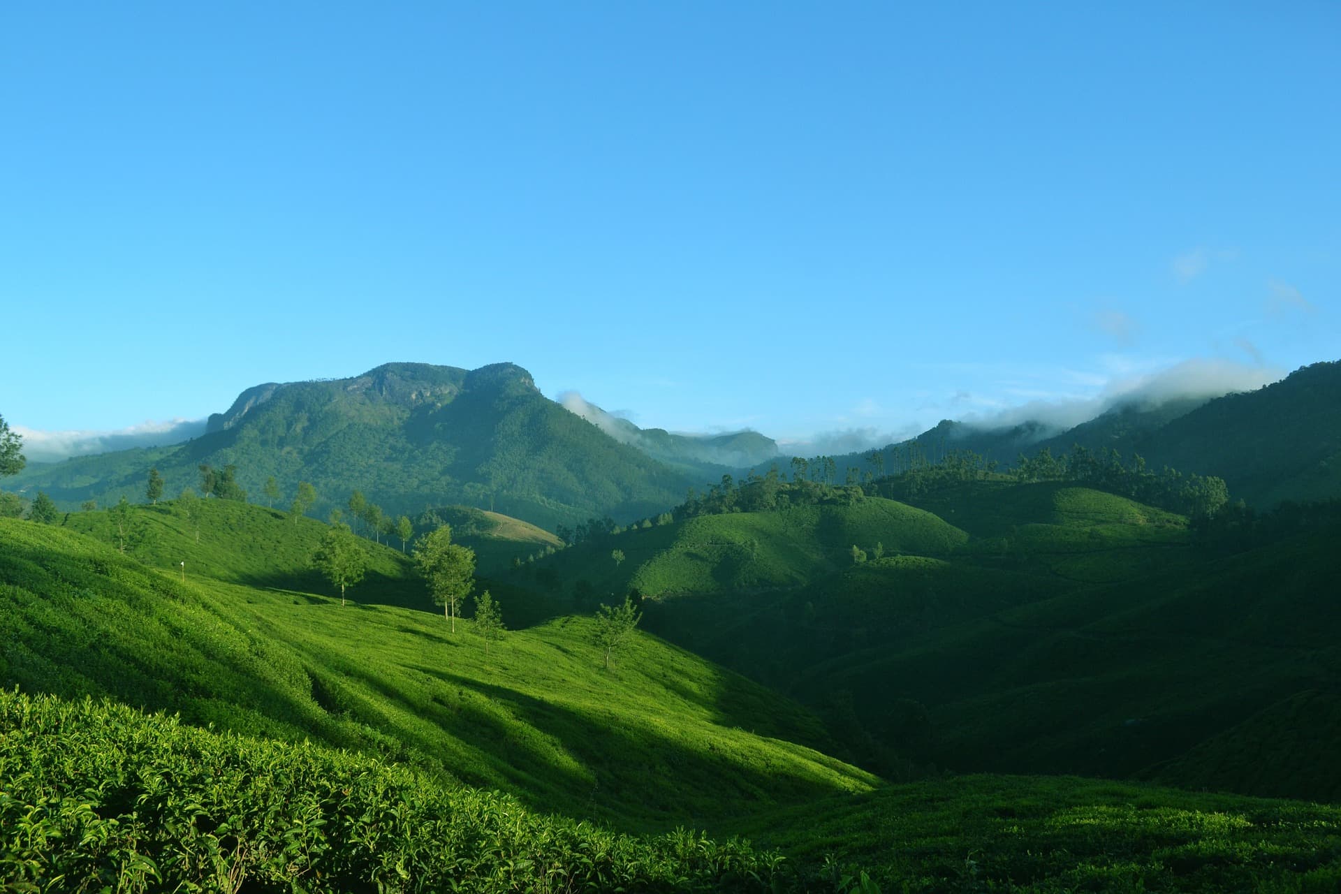 Mountains of Munnar