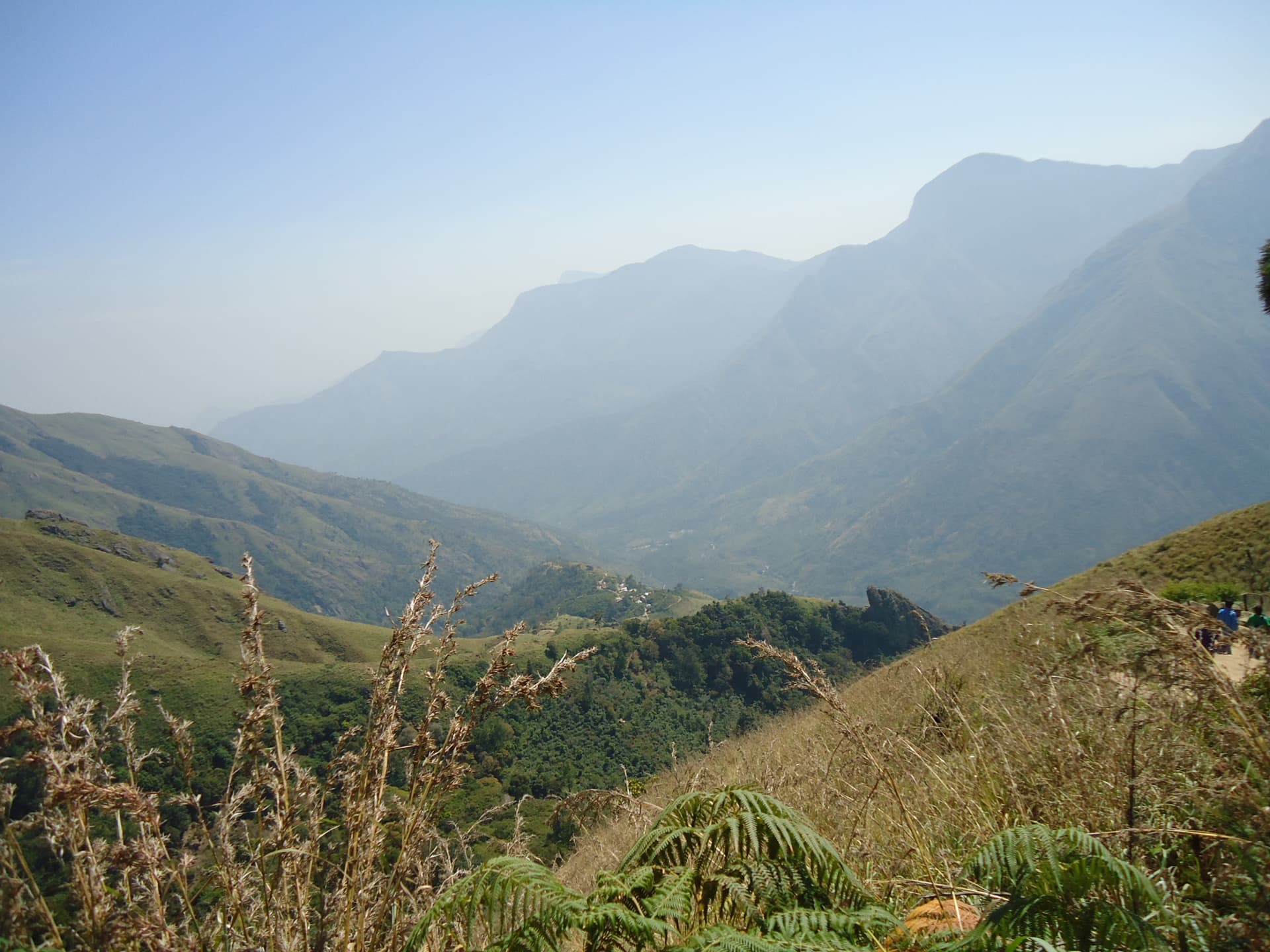 View from Top Station Munnar
