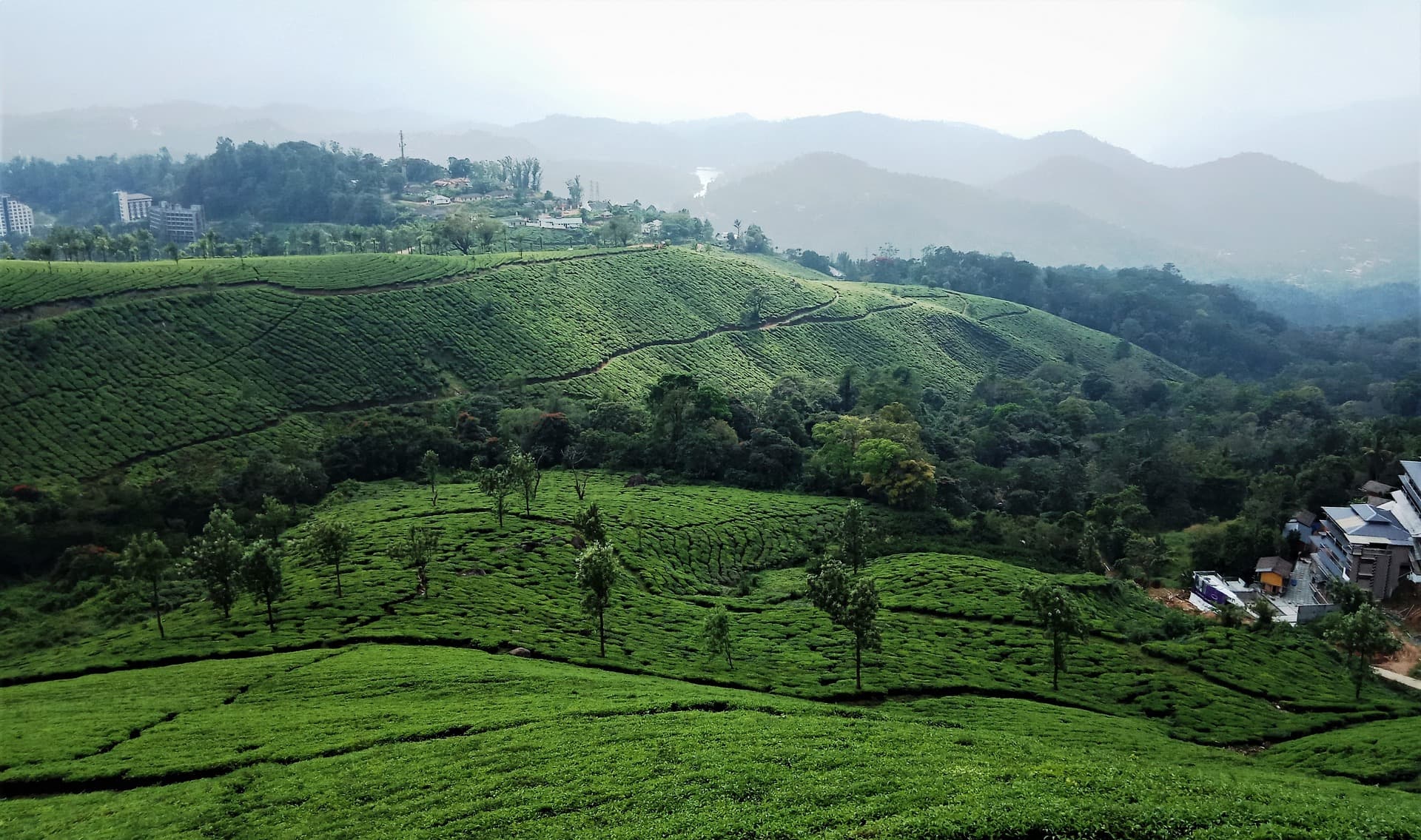 Munnar