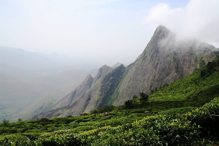 Kolukkumalai Tea Estate