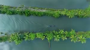 Bamboo Factory, Uravu