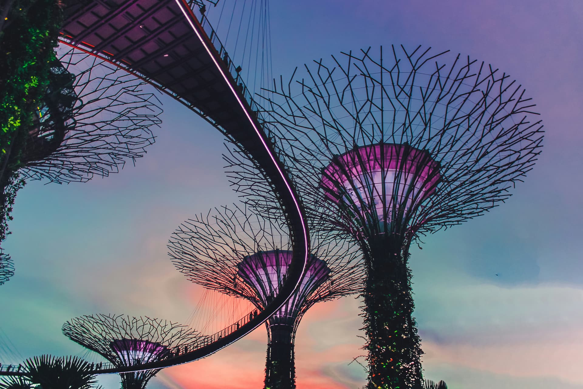gardens by the bay