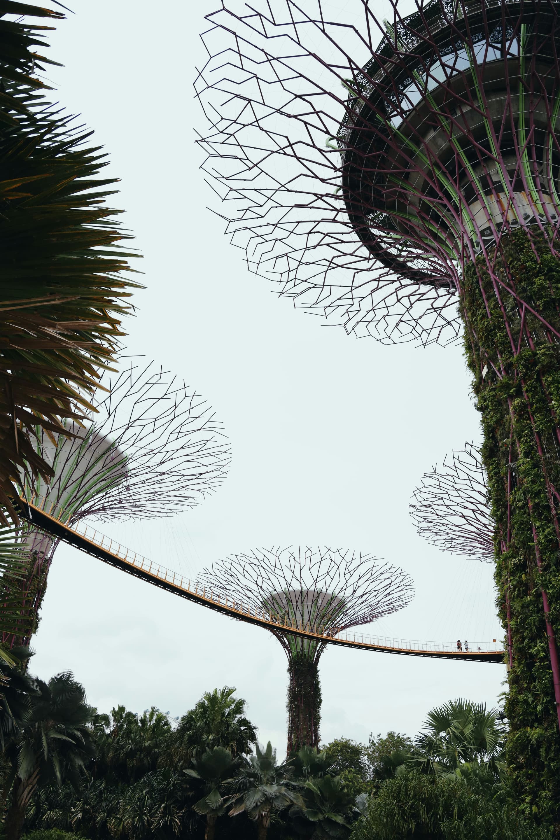 Bottom view of the gardens of the bay