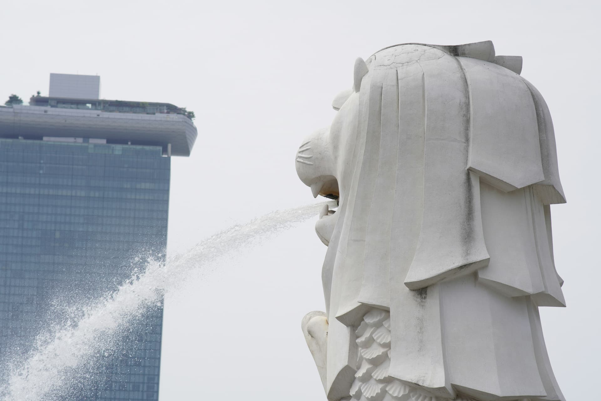 Merlion emblem close up