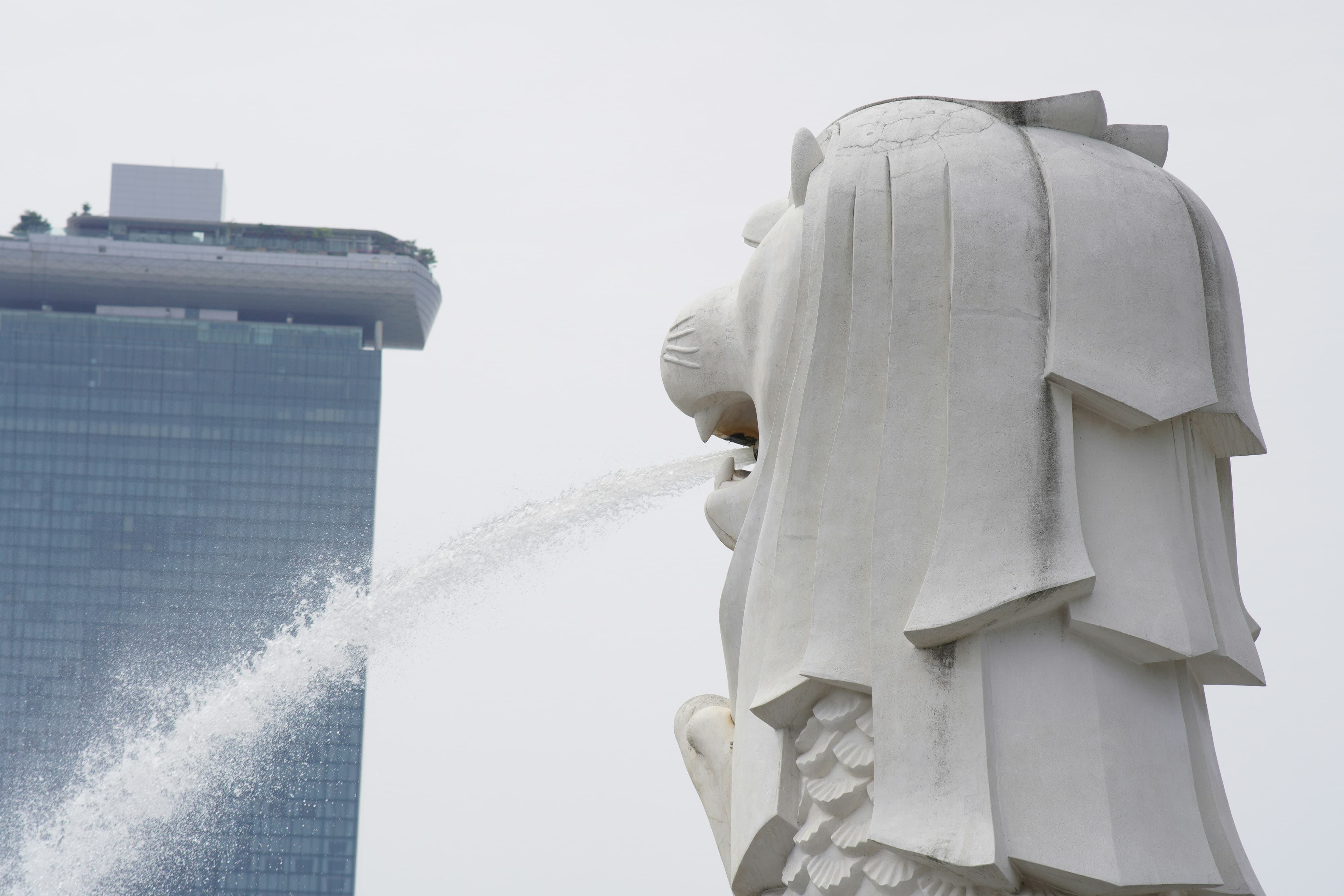 Merlion emblem close up