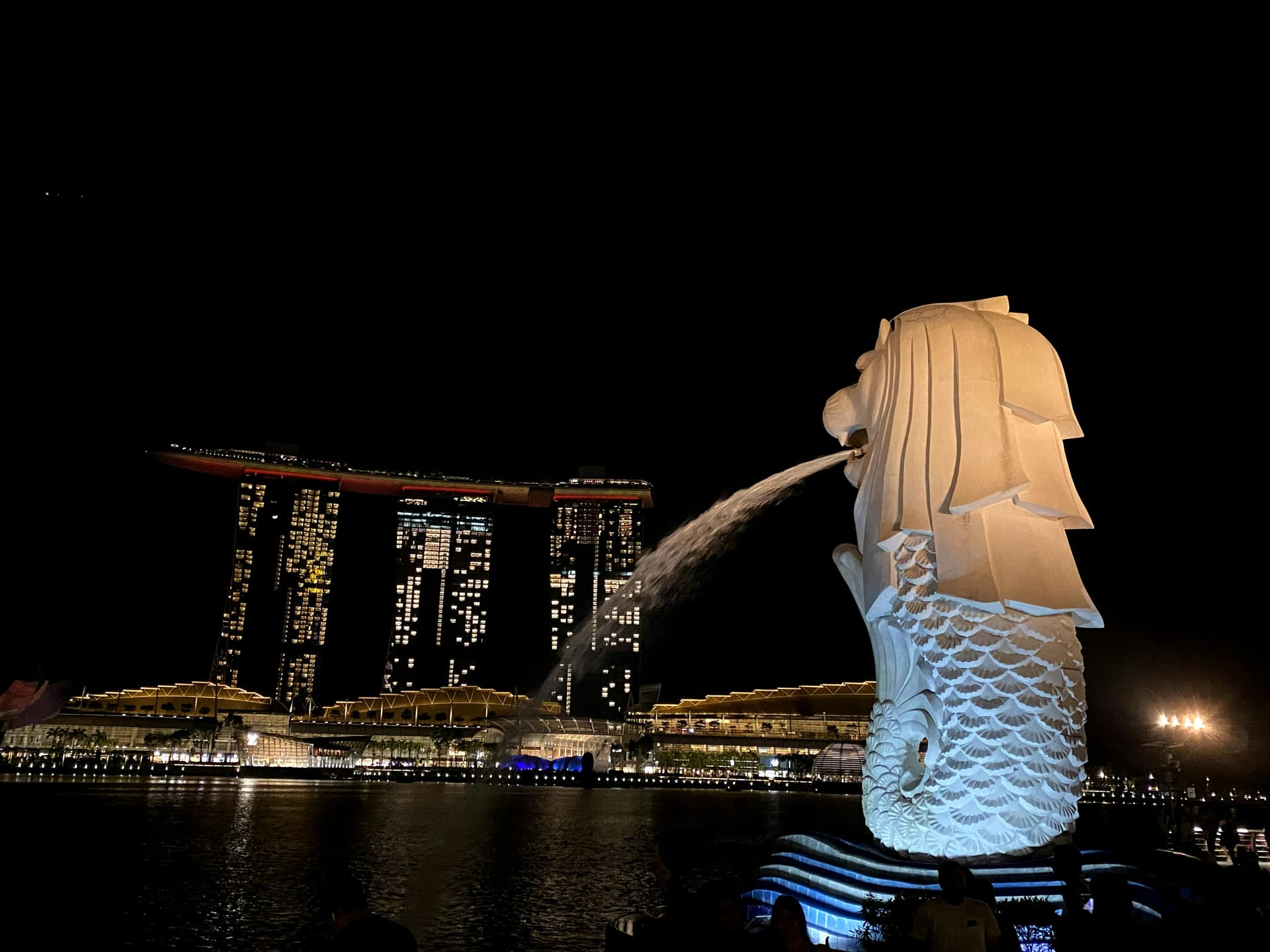 Merlion park at night