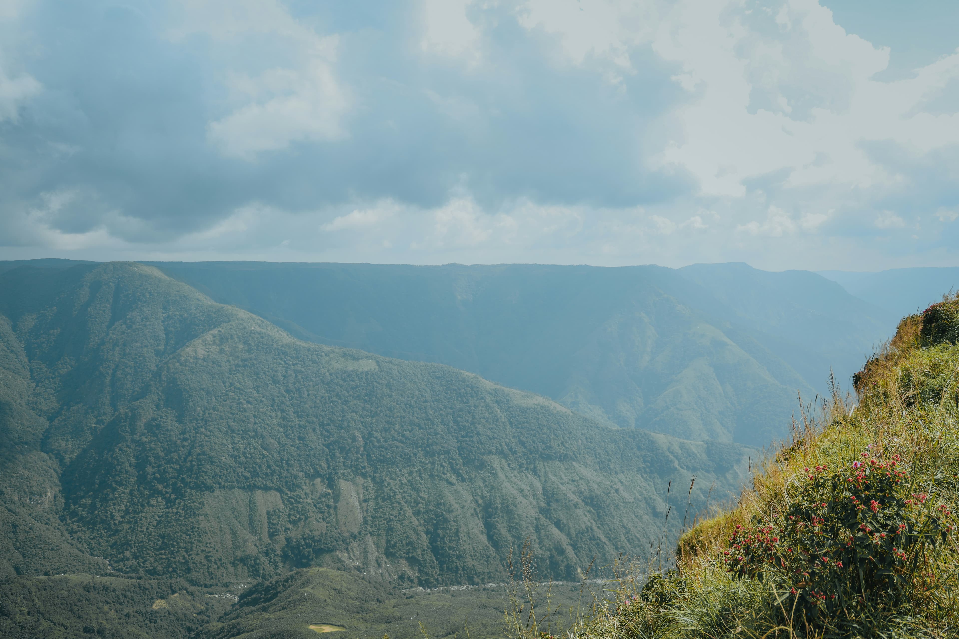 Grasslands of Laitlum