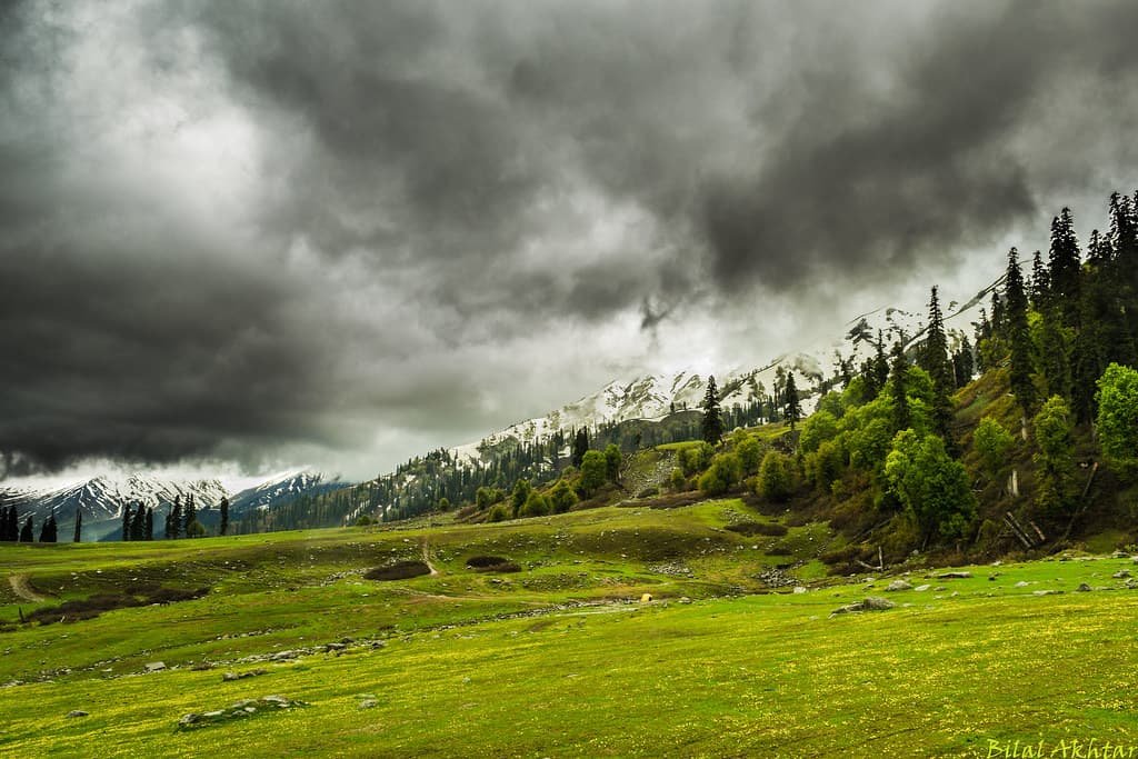 Gulmarg Biosphere Reserve