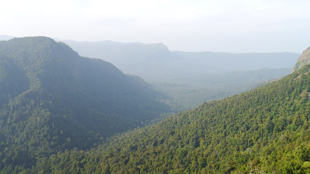 Narasimha Parvatha, Agumbe