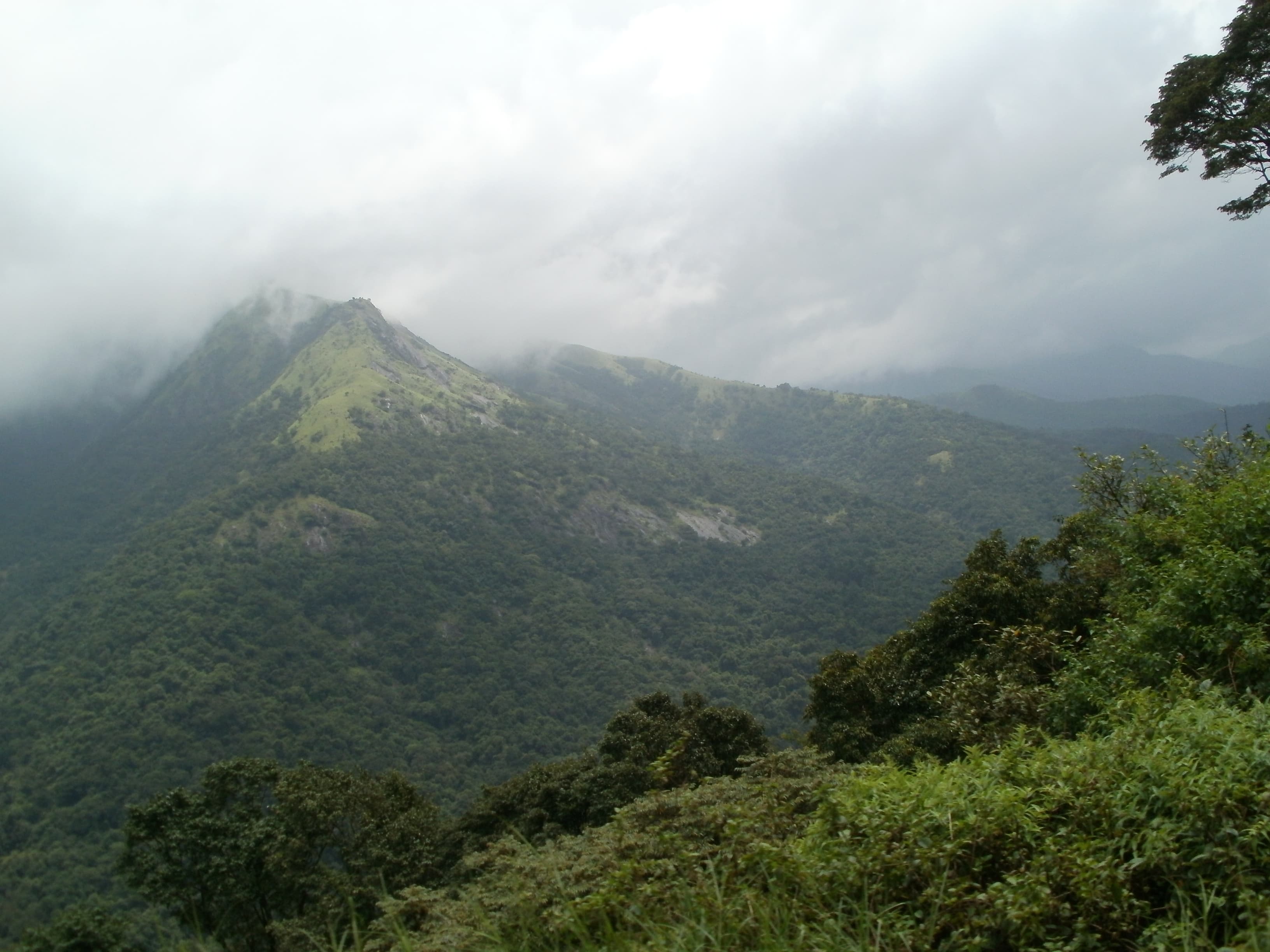 Ombattu Gudda Trek, Sakleshpur