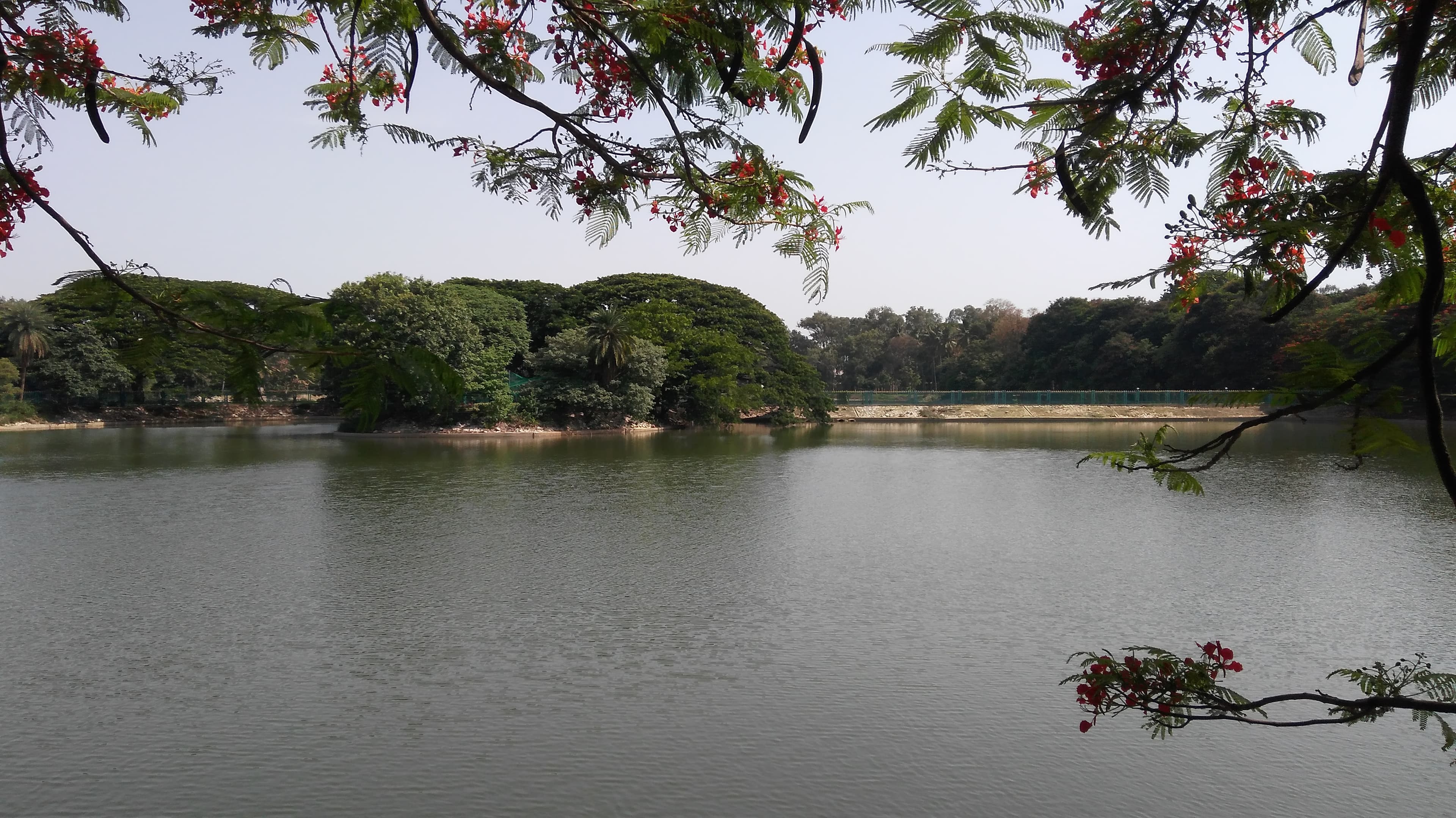 lake in Lalbagh