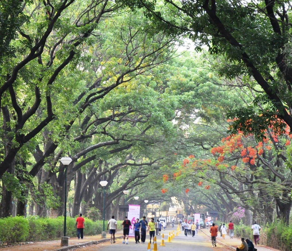 walking area in Cubbon park