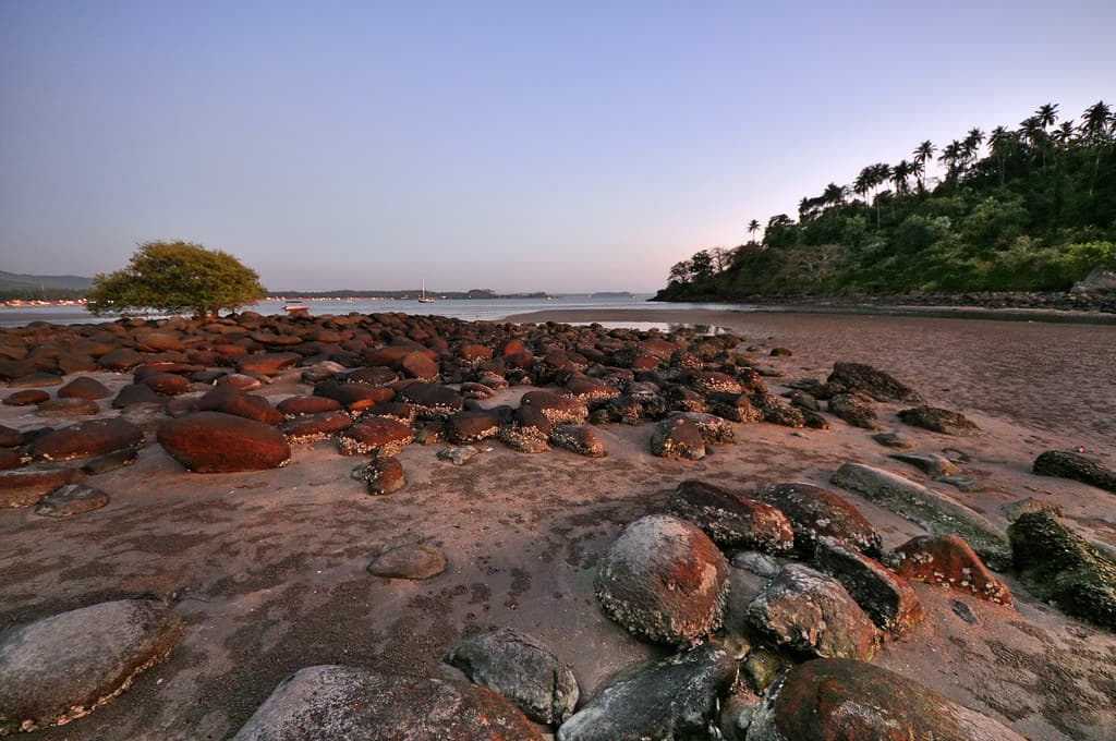 Boat parked in Palolem Beach