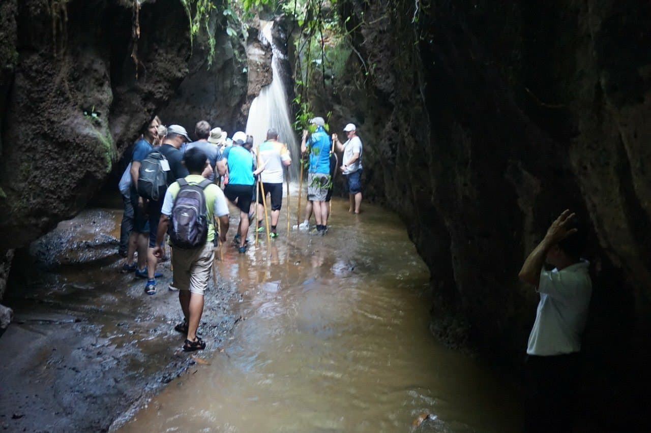 Tourists exploring Taro Village