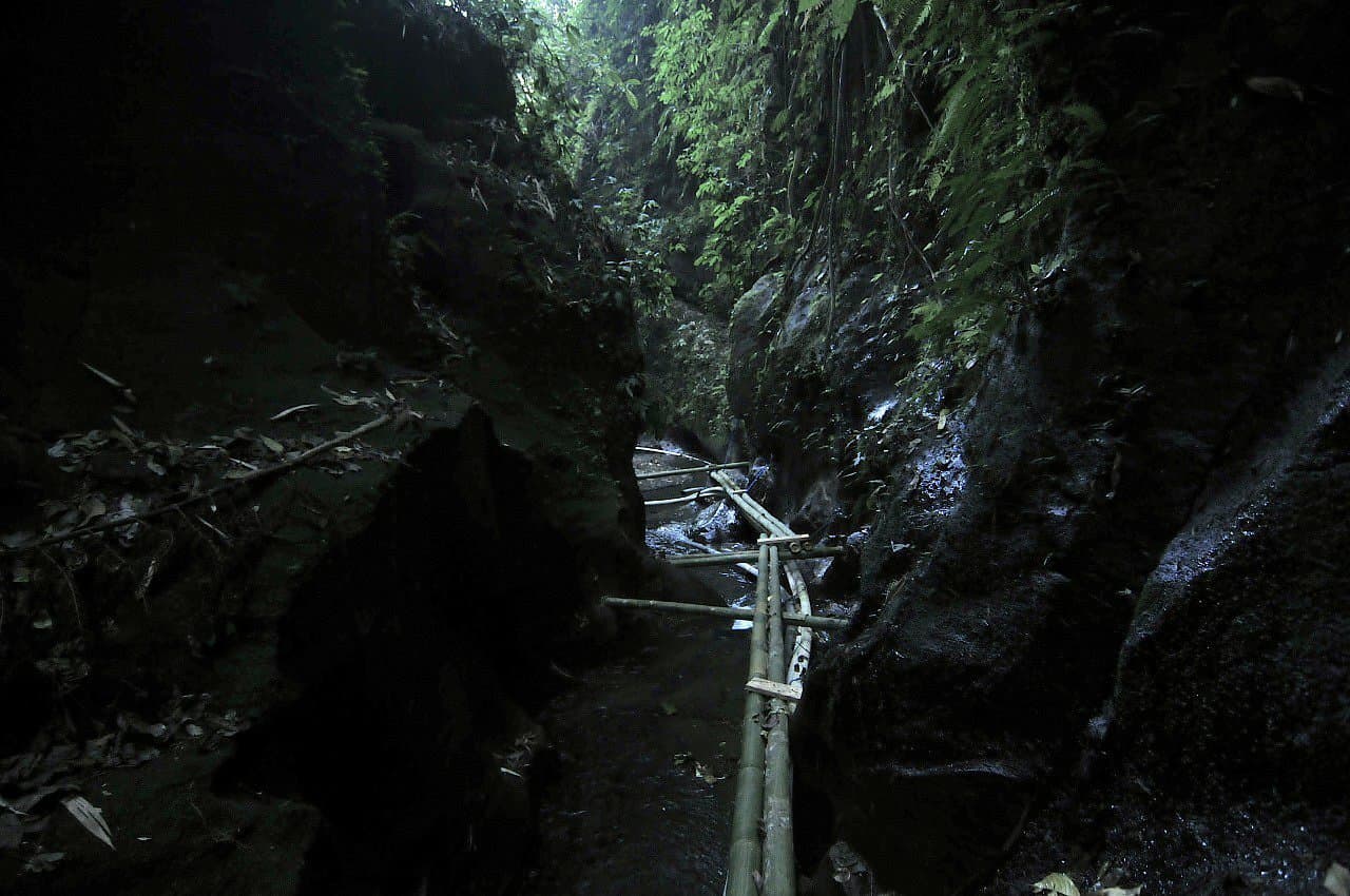 Forest trails in Taro Village