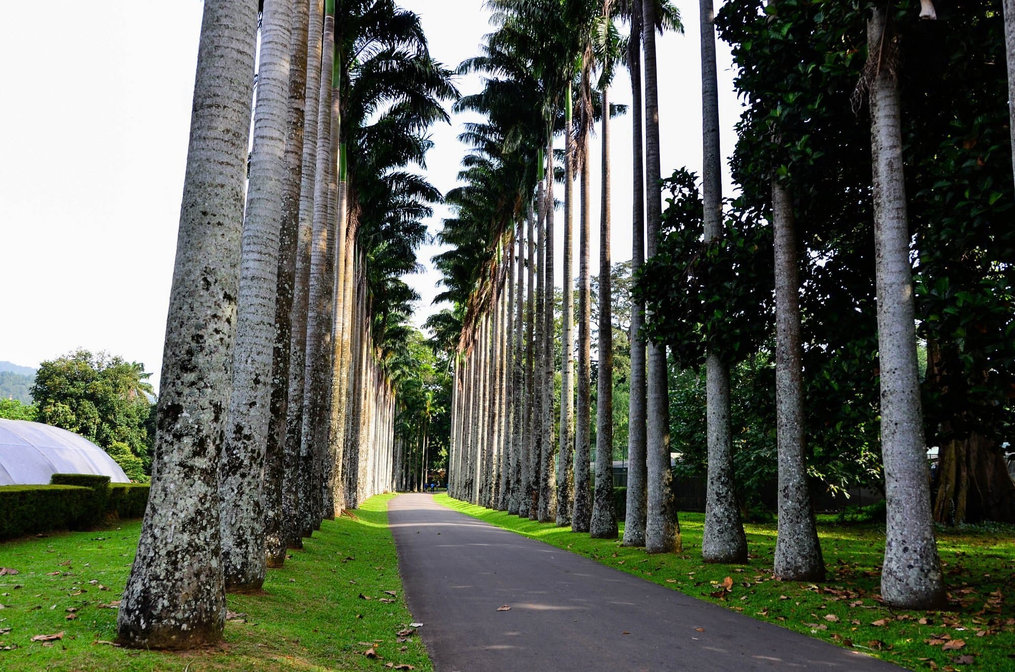 royal botanic gardens